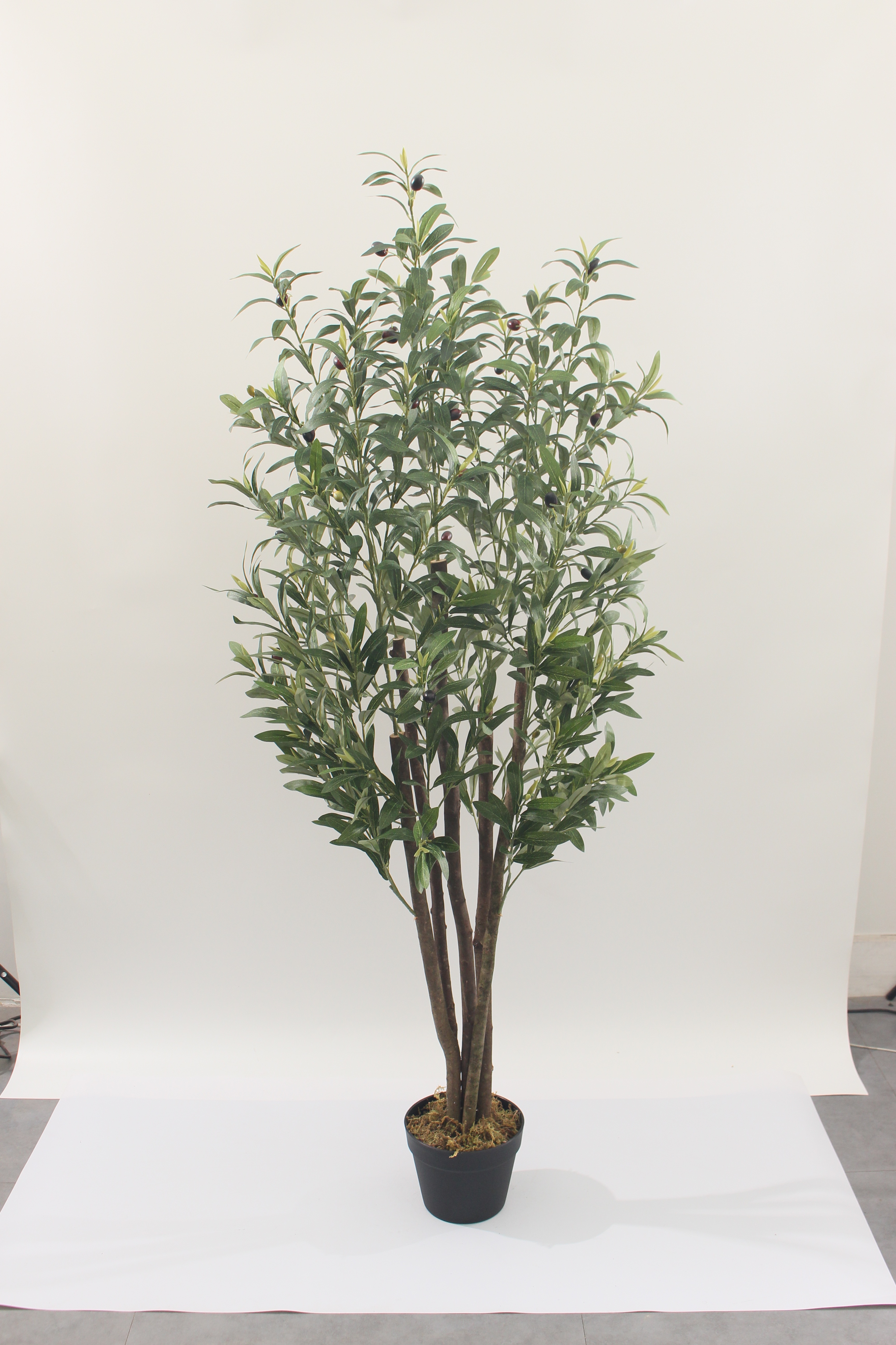 中东爆款橄榄，销量领先，快来抢购仿真绿植