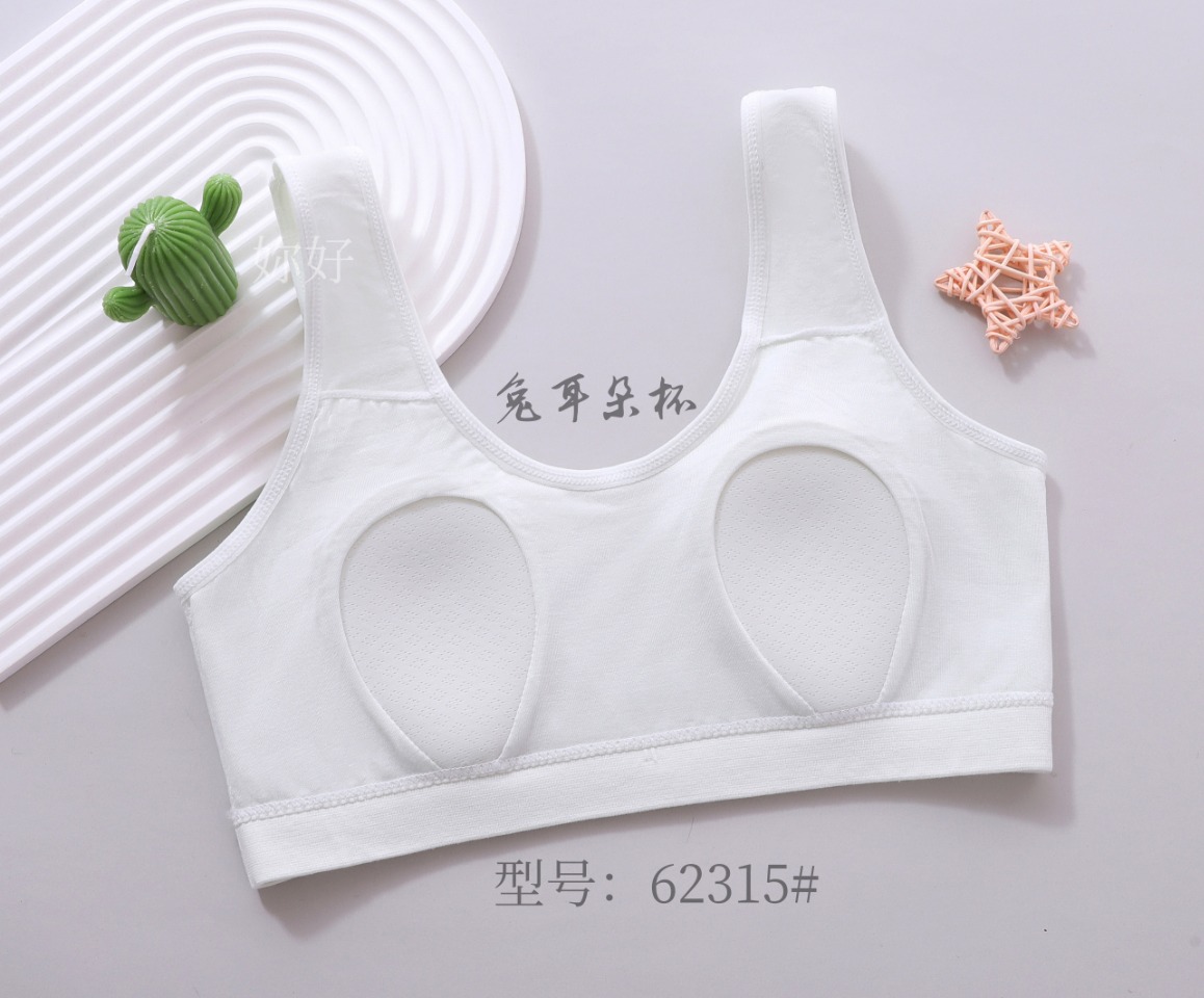 Girls' bra: Seamless, high-elasticity, sweet rabbit ears, fixed cup underwear, no steel rings, thin pullover, anti-protruding point vest details Picture