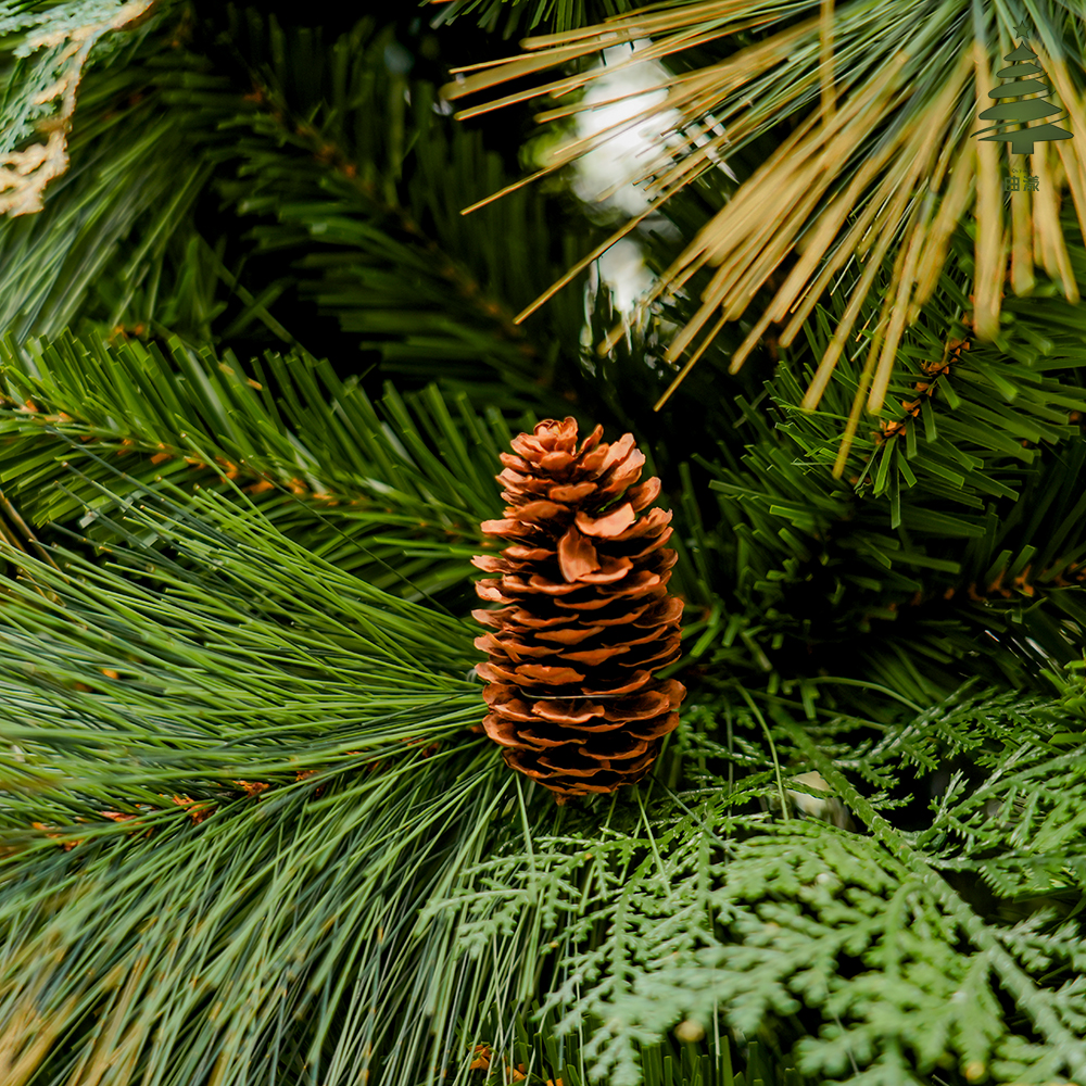 2025 nueva tienda burst gold pin pin pin pin PET mezcla PE PVC simulación árbol de navidad automático details Picture