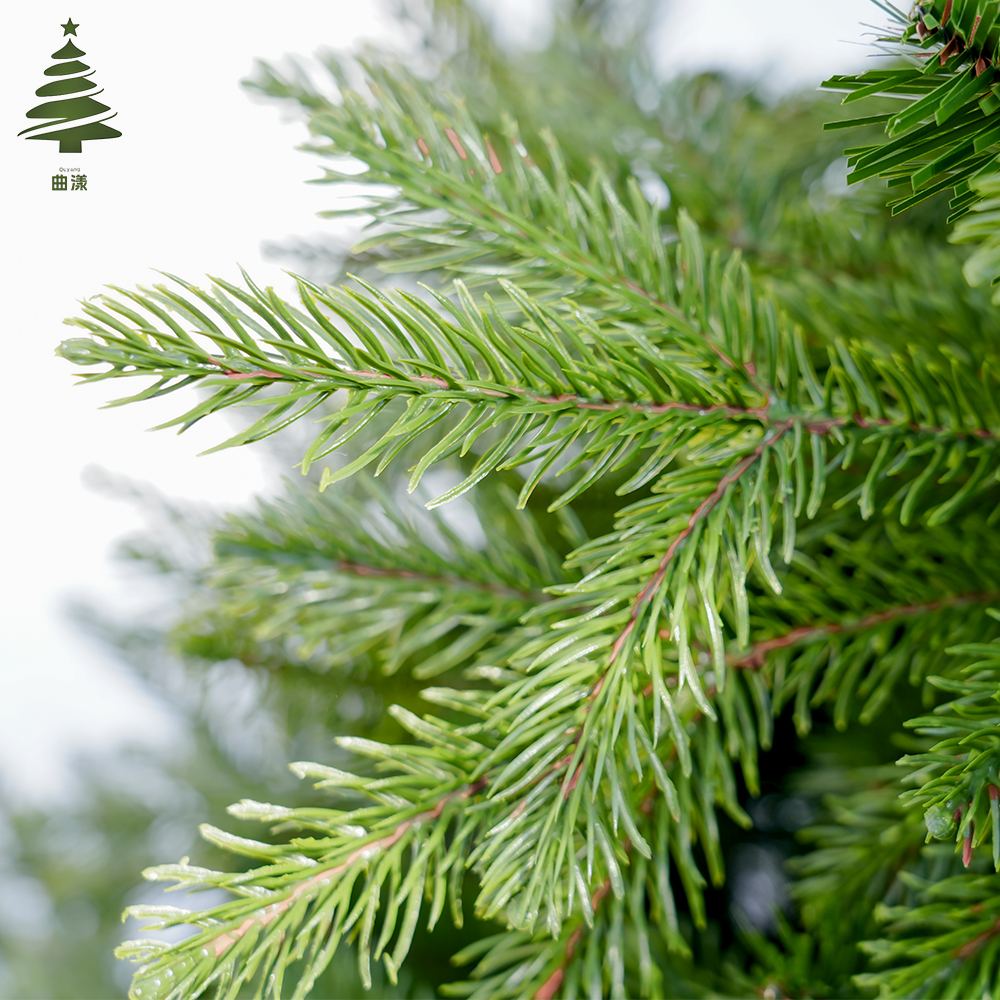 2025 new model 1.8-meter PE mixed PVC Christmas tree with automatic tree structure factory direct sales. Customizable size Application Scenario