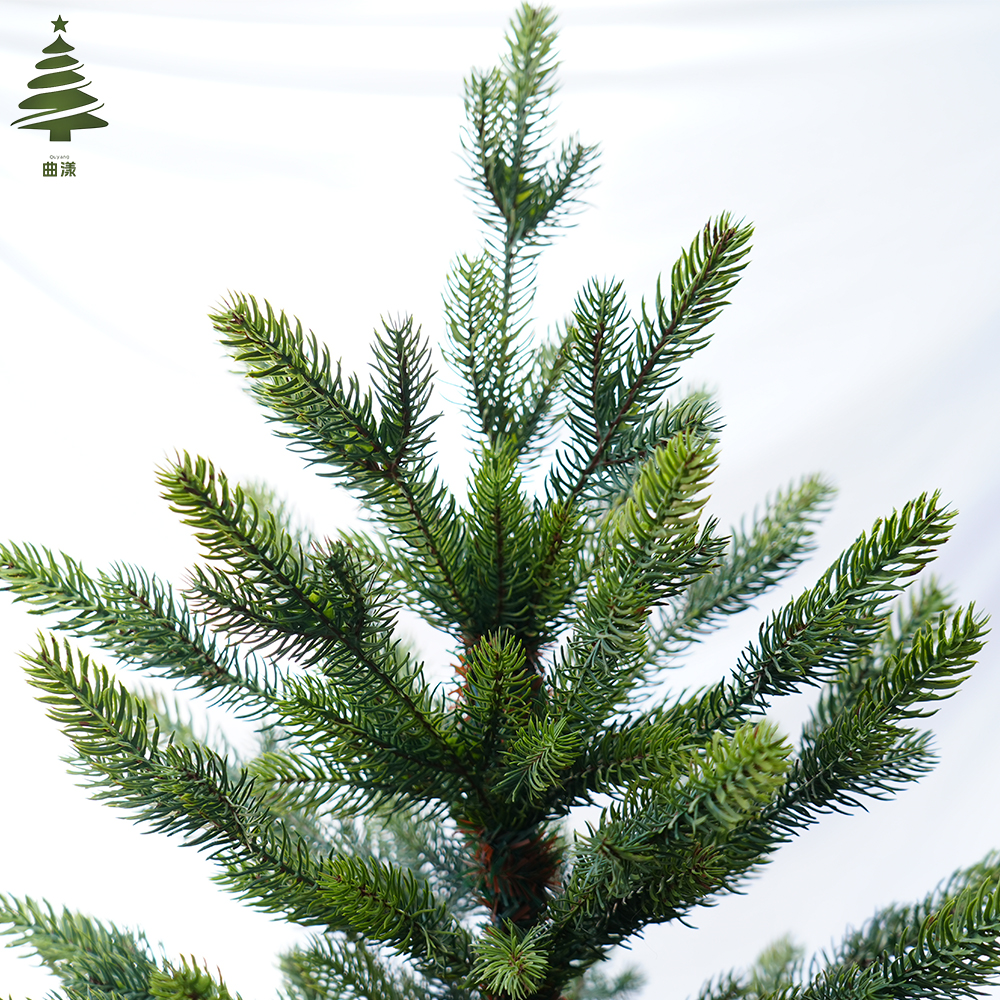 圣诞树实物图
