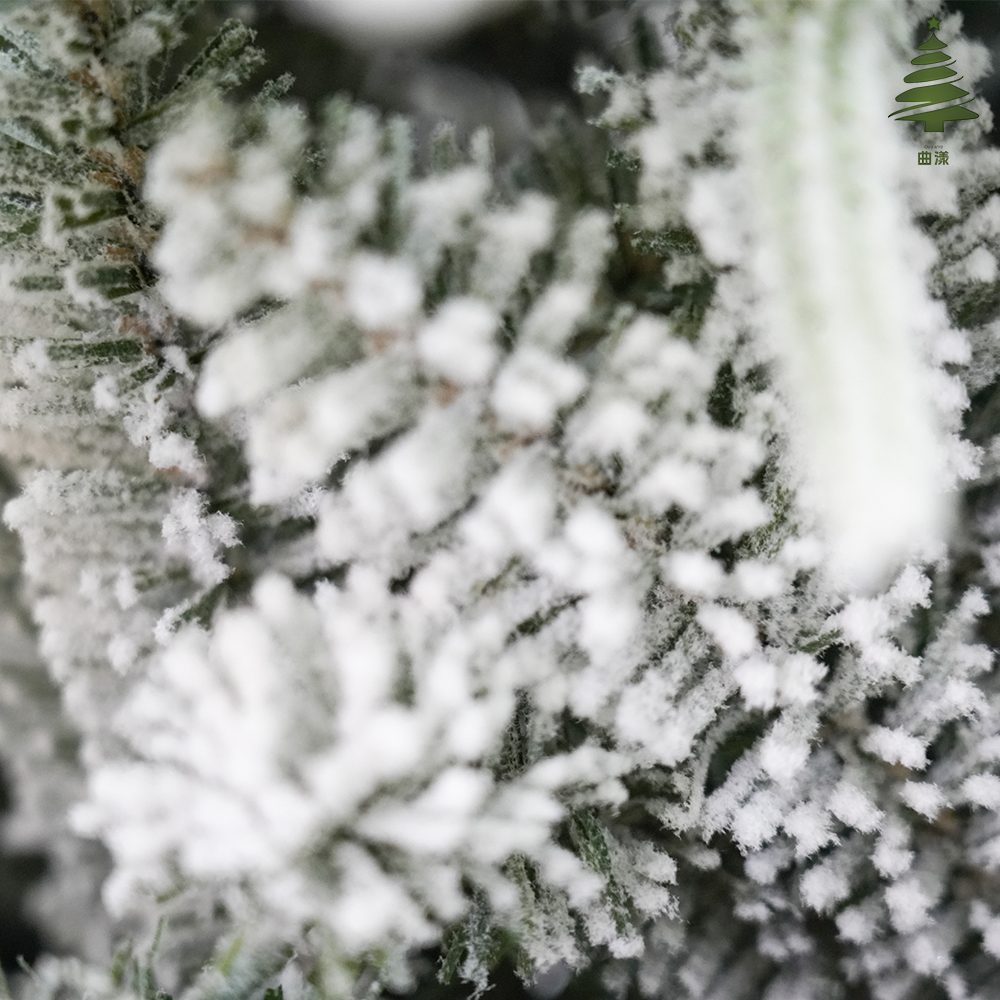 The 2025 new style of willow leaf PE mixed flocked Christmas tree with a white snowfall effect Specification image
