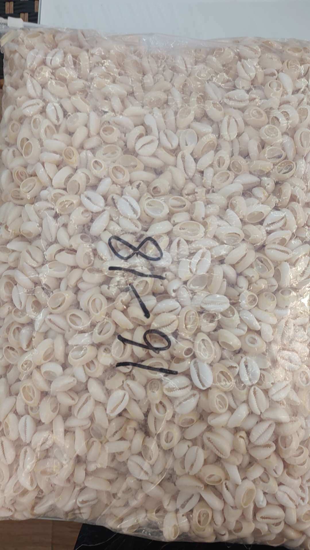 金边贝切片，海螺饰品配件，海洋贝壳详情图2
