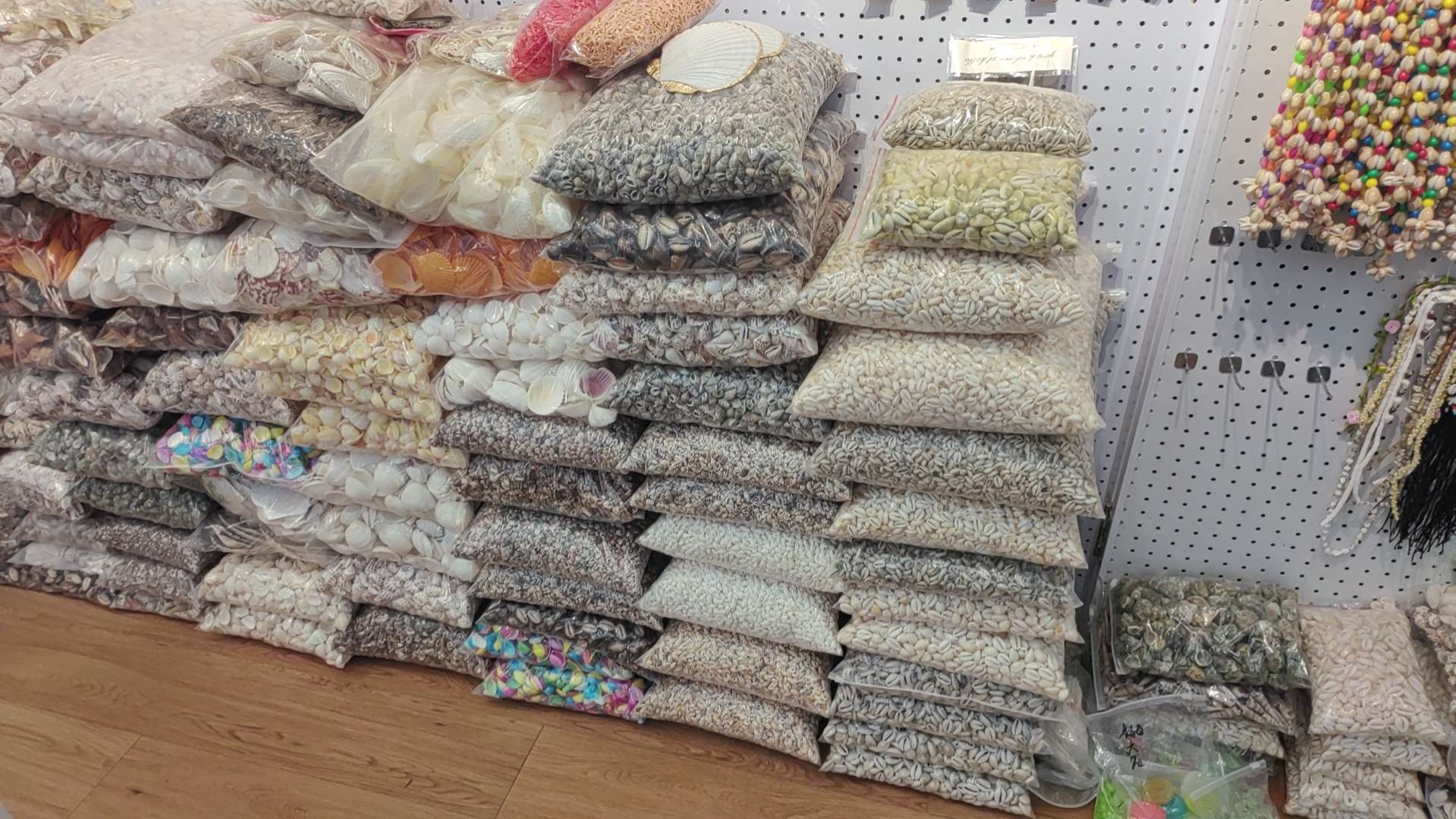 金边贝切片，海螺饰品配件，海洋贝壳详情图4