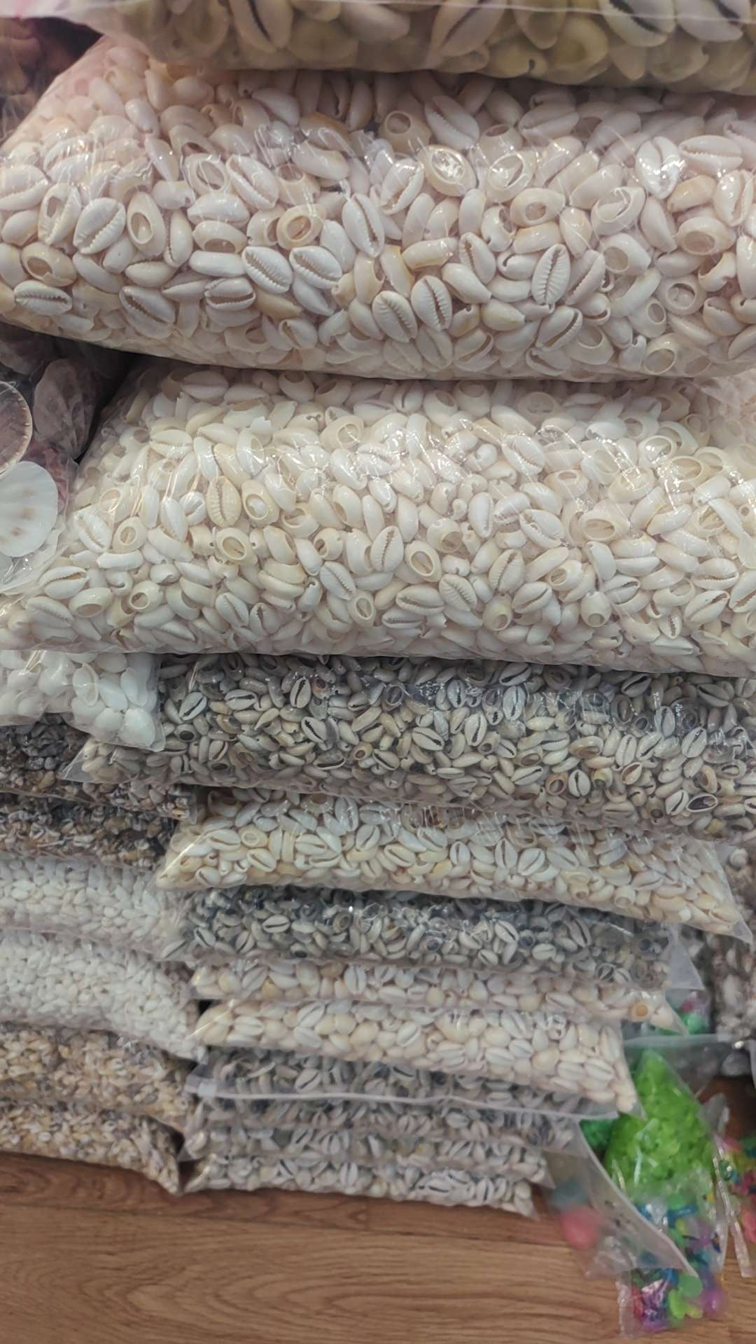 金边贝切片，海螺饰品配件，海洋贝壳详情图3