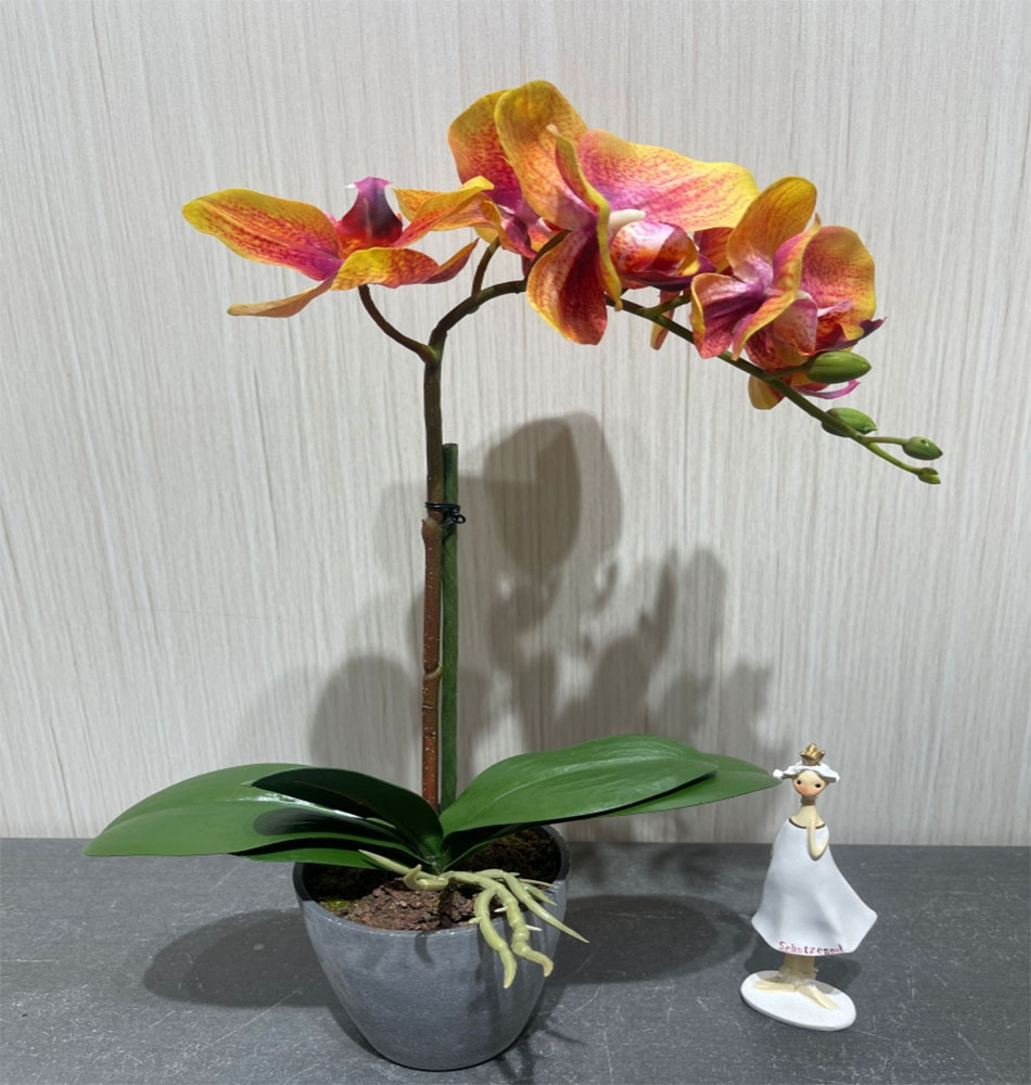 雨花石小盆栽 石头艺术盆景 自然石材装饰植物 室内外绿化装饰品蝴蝶兰小盆栽