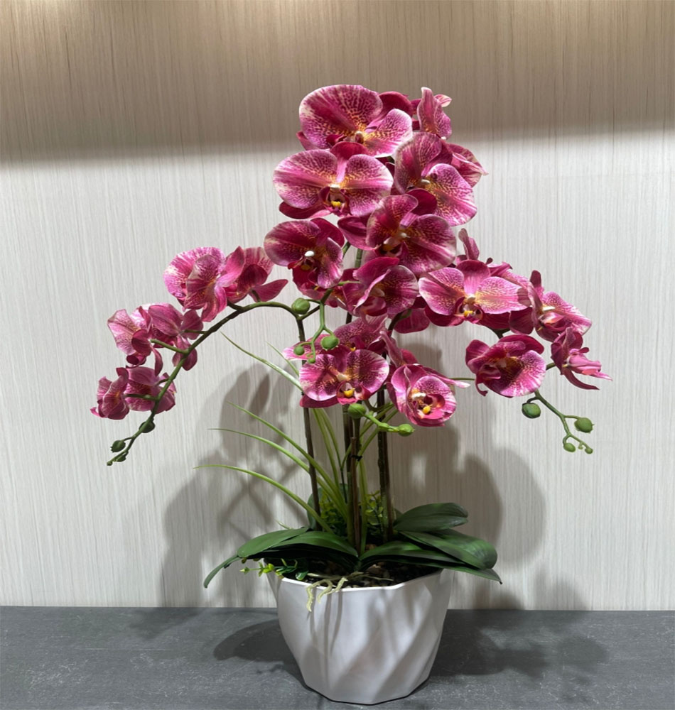 塑料花人造蝴蝶兰花造景摆件装饰品家居布置庭院装饰用