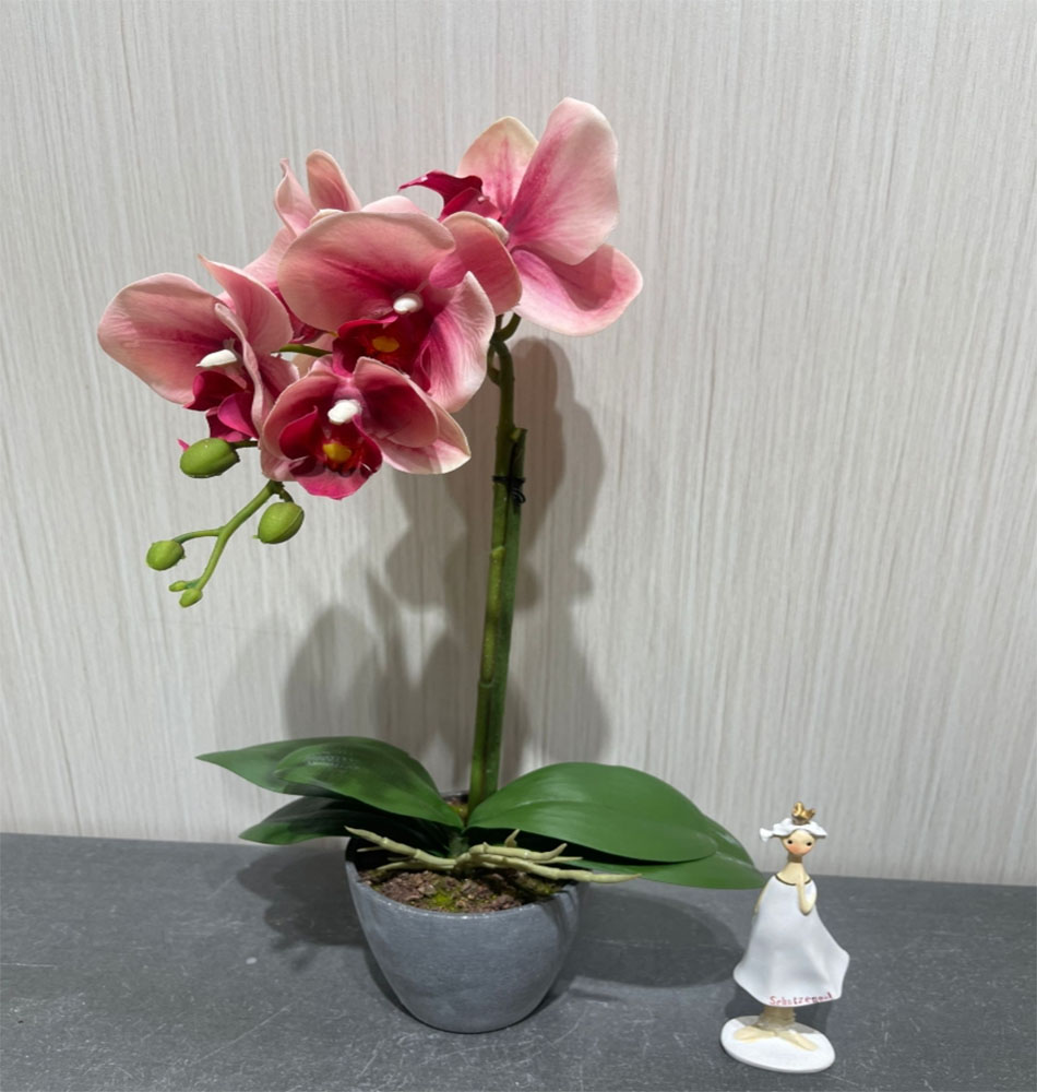 Yuhua stone small potted plants, stone art bonsai, natural stone decorative plants, indoor and outdoor greening ornaments, Phalaenopsis small potted plants Specification image