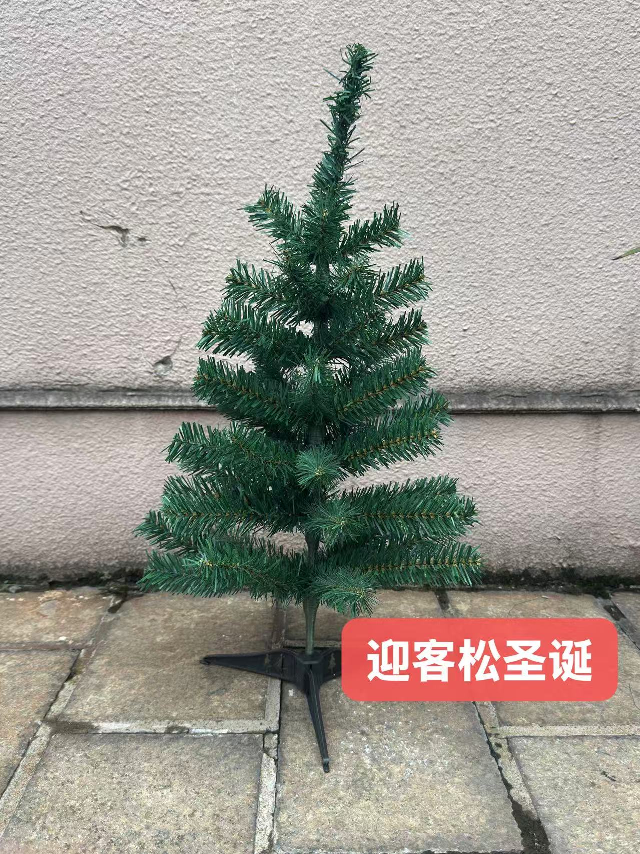 圣诞树实物图