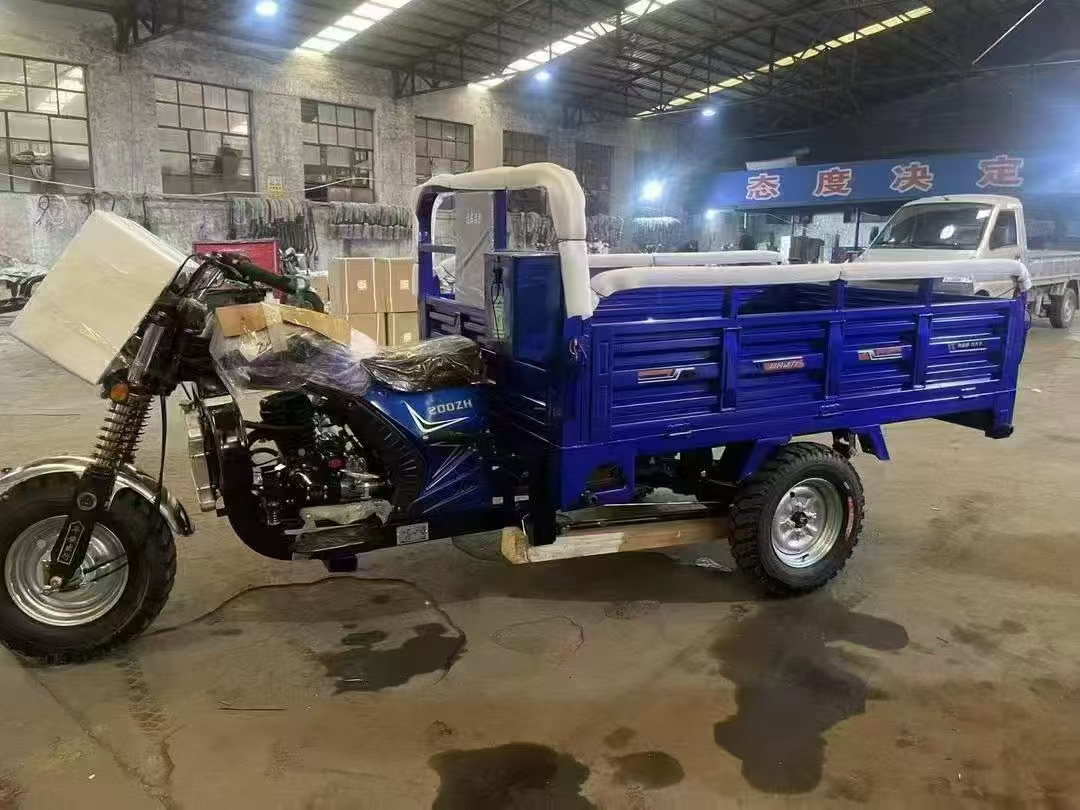 摩托三轮车  农用三轮车   载货三轮车  150   200CC 250CC 300CC动力摩托车 家用摩托三轮 图