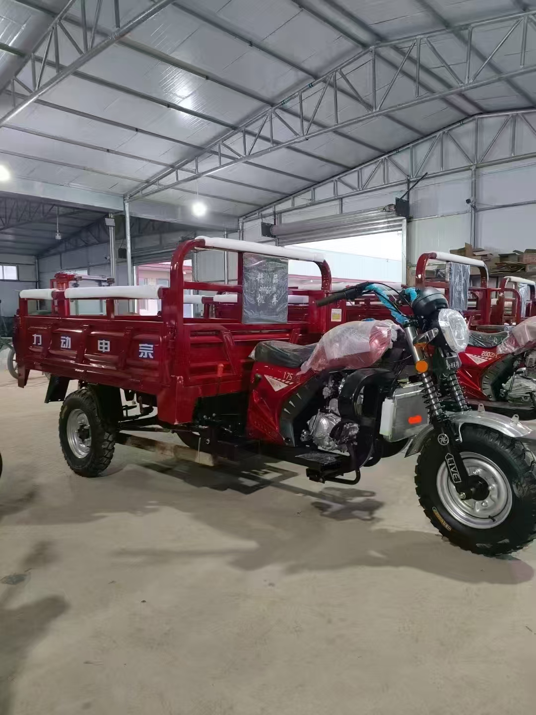 摩托三轮车   农用三轮车  载货三轮车  150   200CC 250CC 300CC动力摩托车 家用摩托三轮 