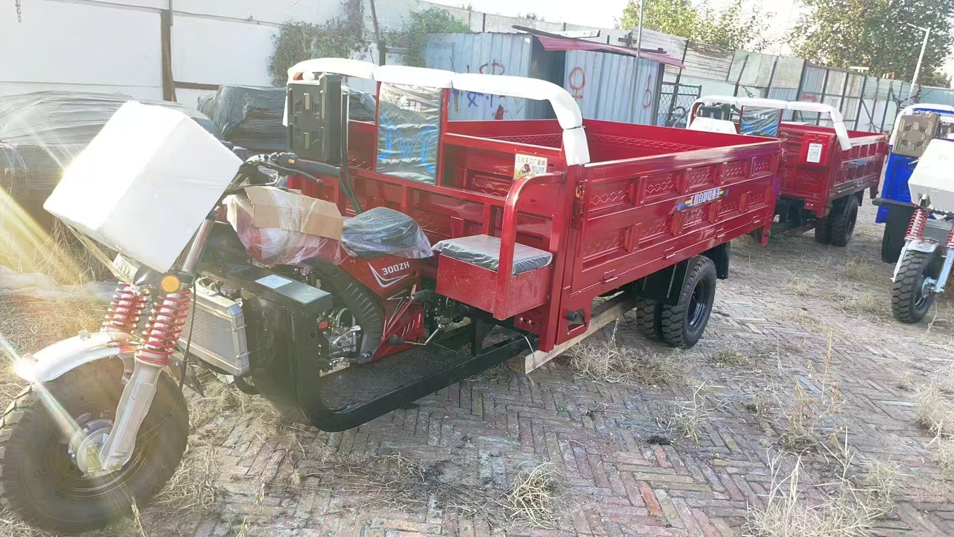 摩托三轮车  农用三轮车  载货三轮车  150CC  200CC 250CC 300CC 动力摩托车 家用摩托三轮 详情1