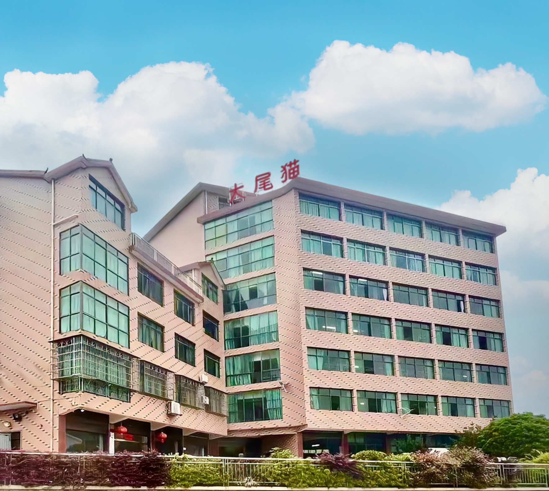 Yiwu Daweimao Luggage Store describe pic - 6