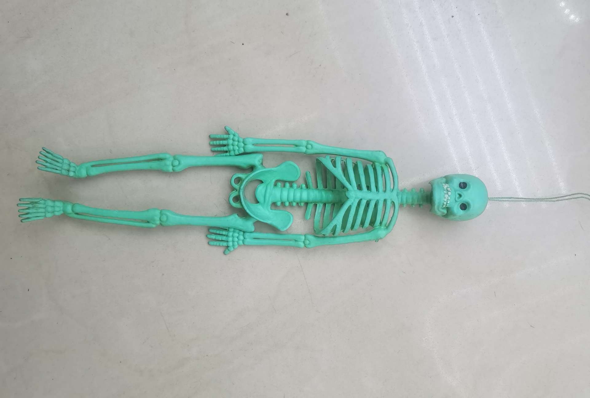 PVC人体骨骼模型20CM，万圣节鬼节导具
详情图3