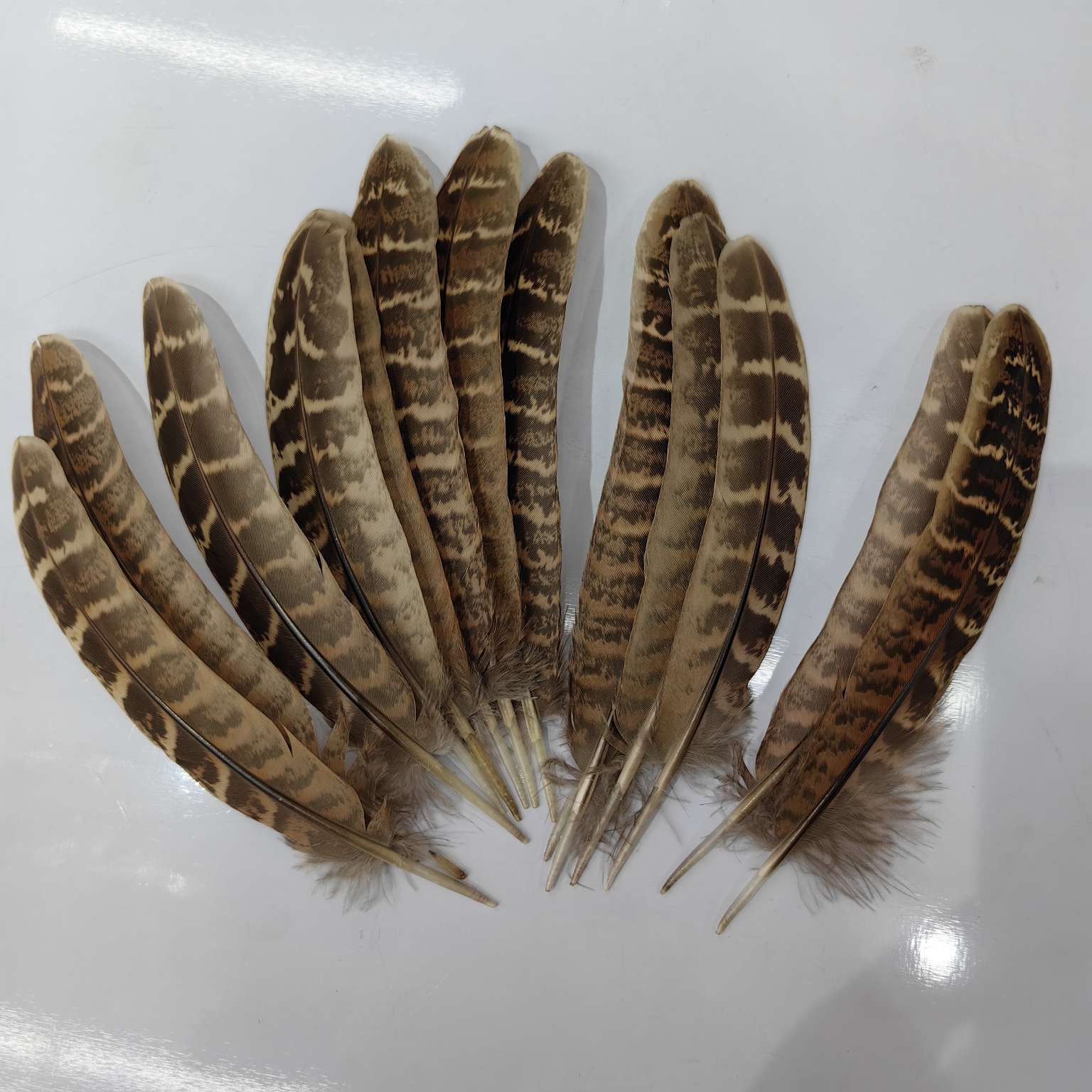 母山鸡窝翎羽毛彩色鸡毛逗猫棒配件天然纺织原料羽绒山鸡毛