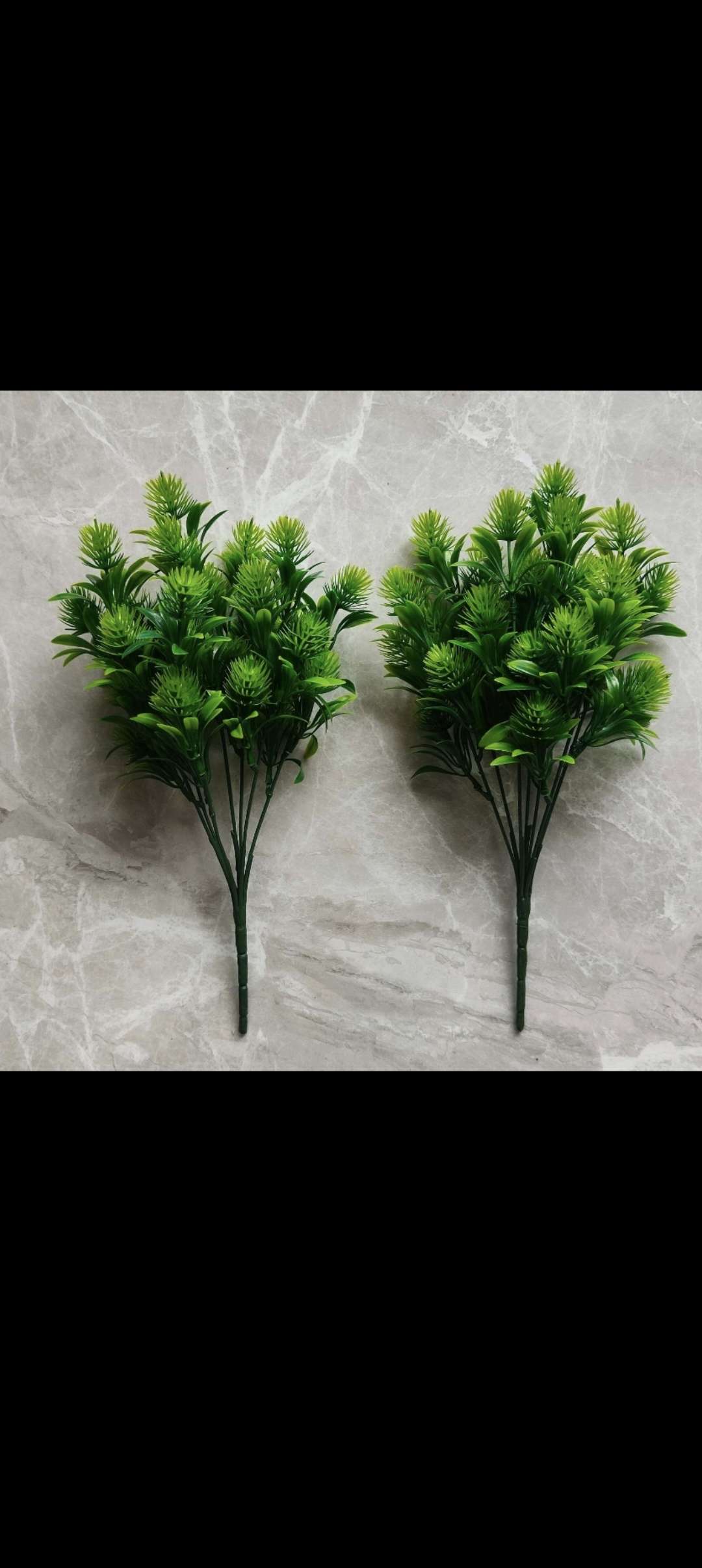 7叉刺草花产品图