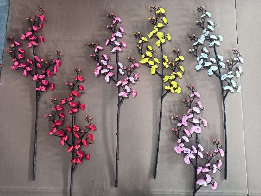 93cm大三叉腊梅