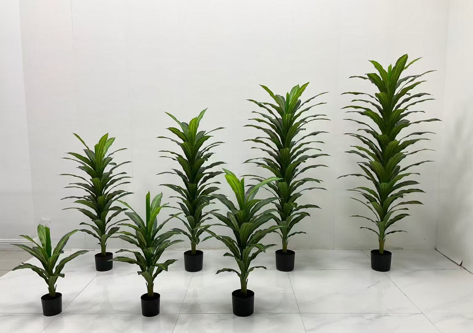 仿真植物落地新黄边巴西盆景室内客厅装饰假盆栽绿植摆件树