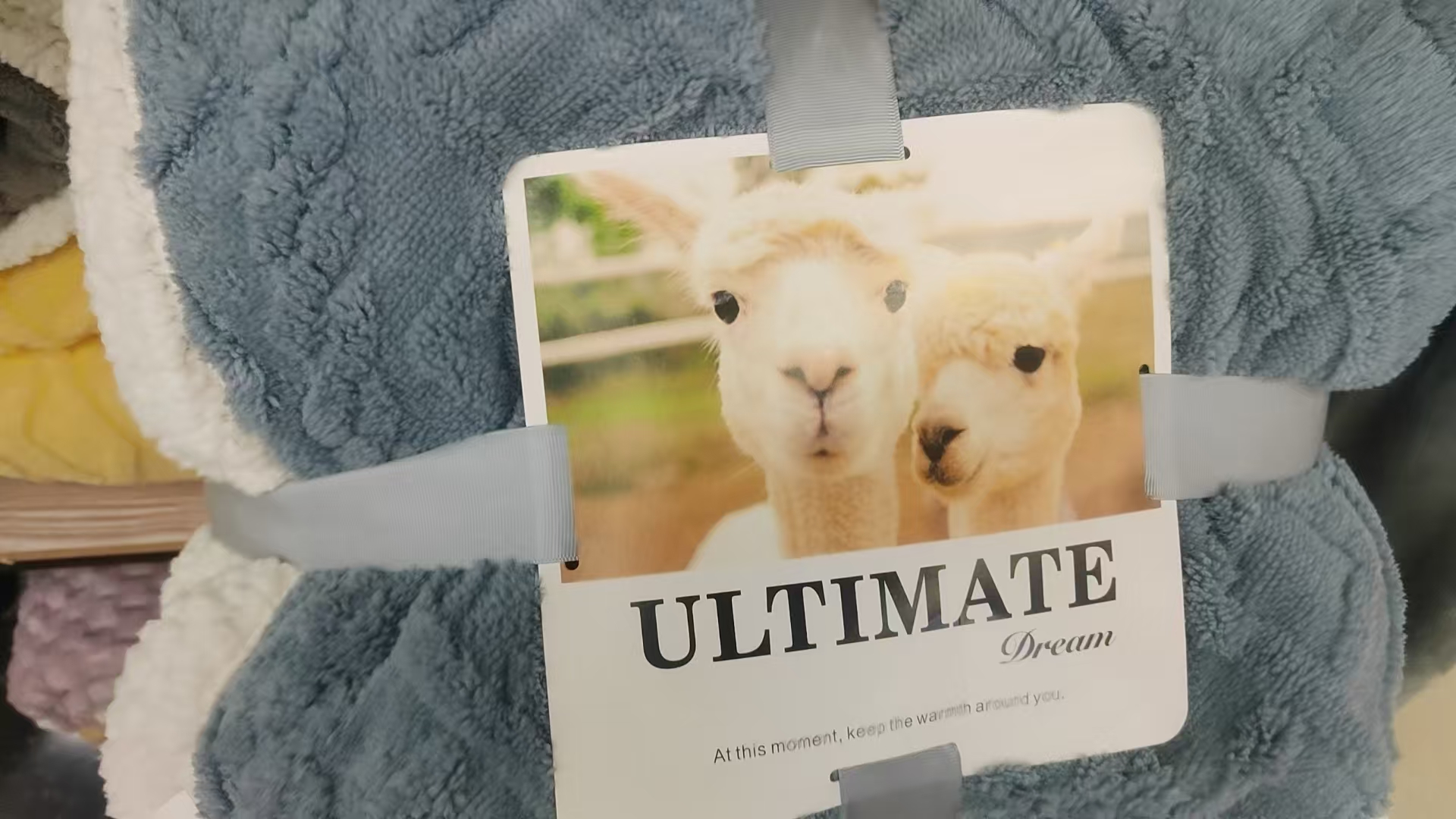 厂家直销批发零售毛毯精品法兰绒毛毯1