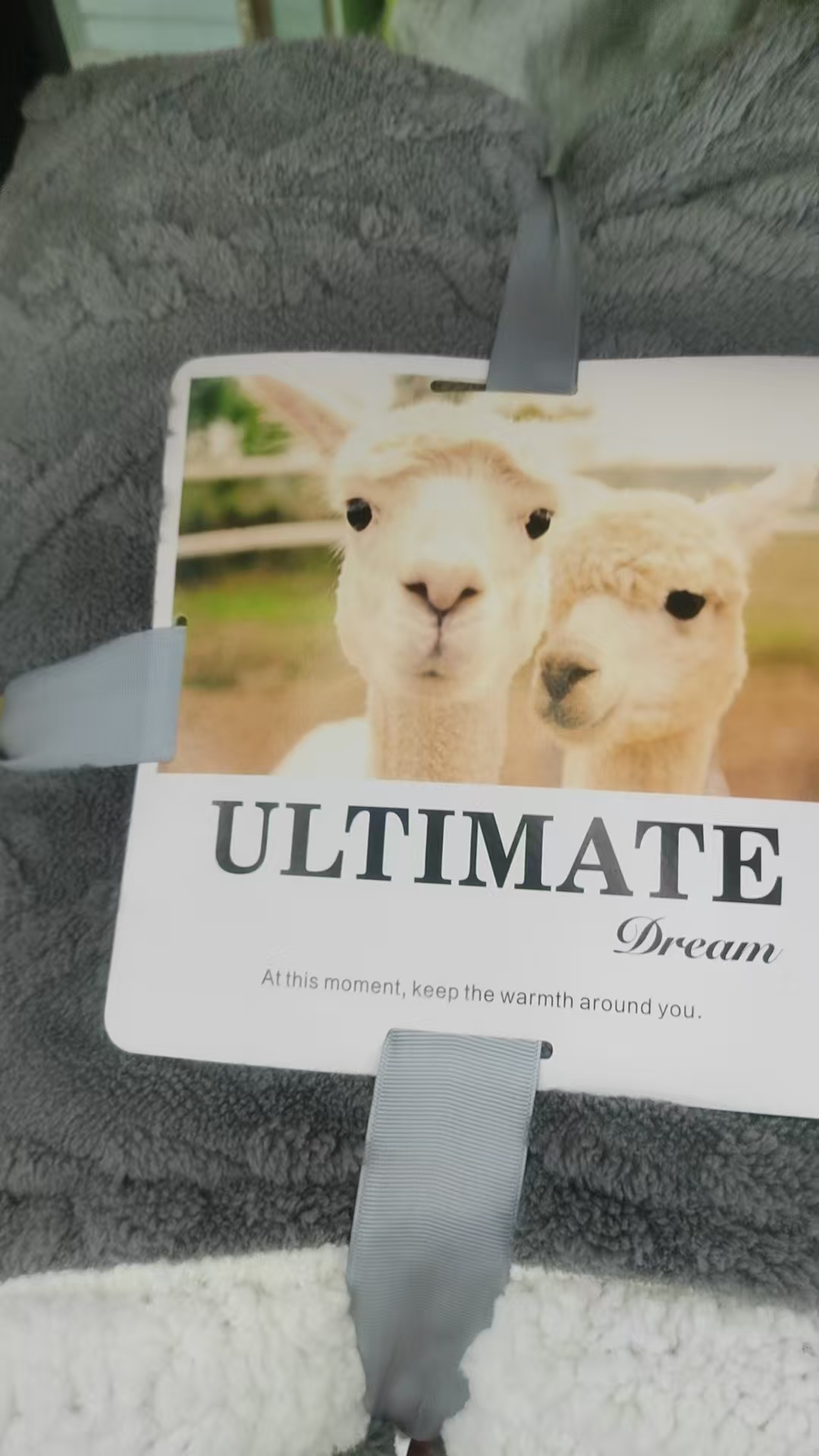 厂家直销批发零售毛毯精品法兰绒毛毯145