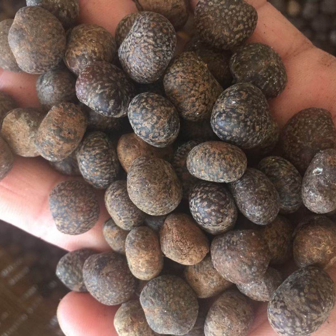 原籽菩提材料文玩