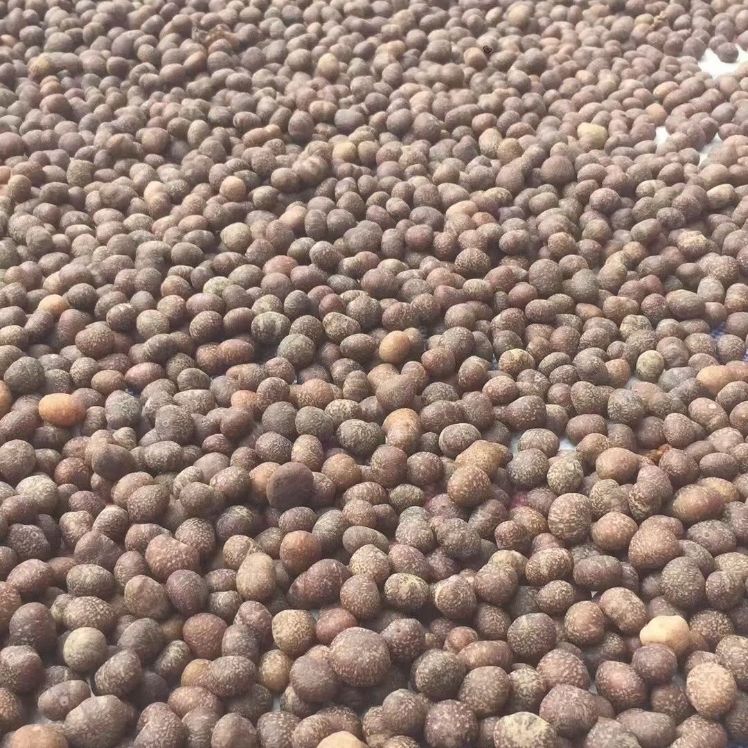 Original seed Bodhi material collectibles Application Scenario