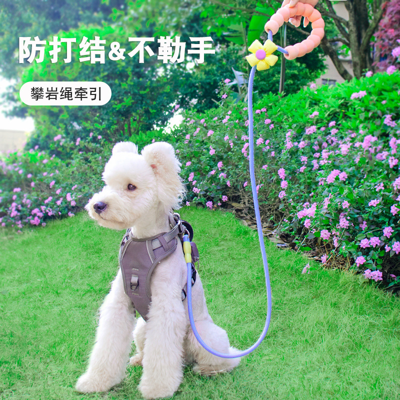 ol花朵玩偶狗狗牵引绳 云朵泡泡棉多巴胺撞色小狗外出宠物遛狗绳