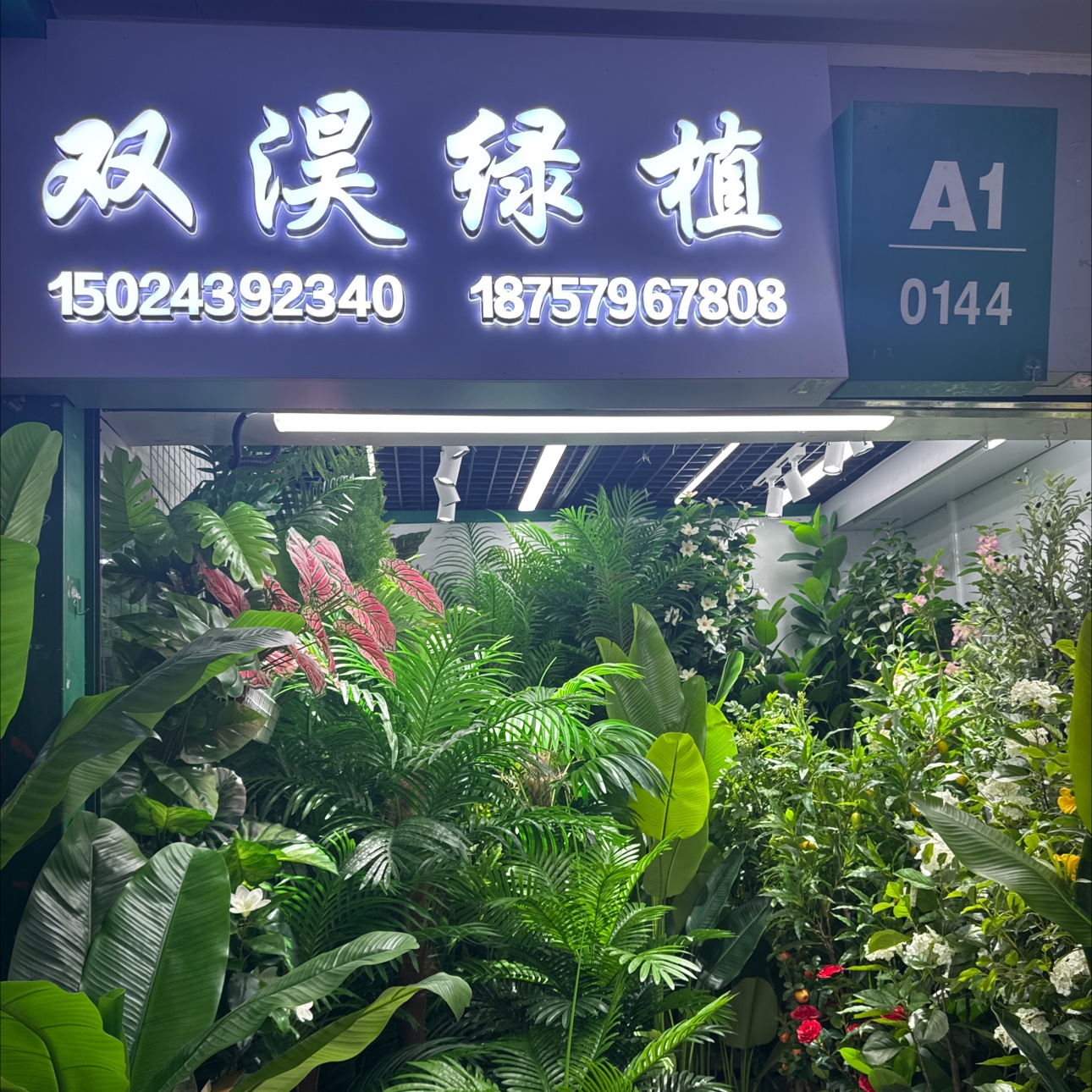 双淏仿真绿植工厂