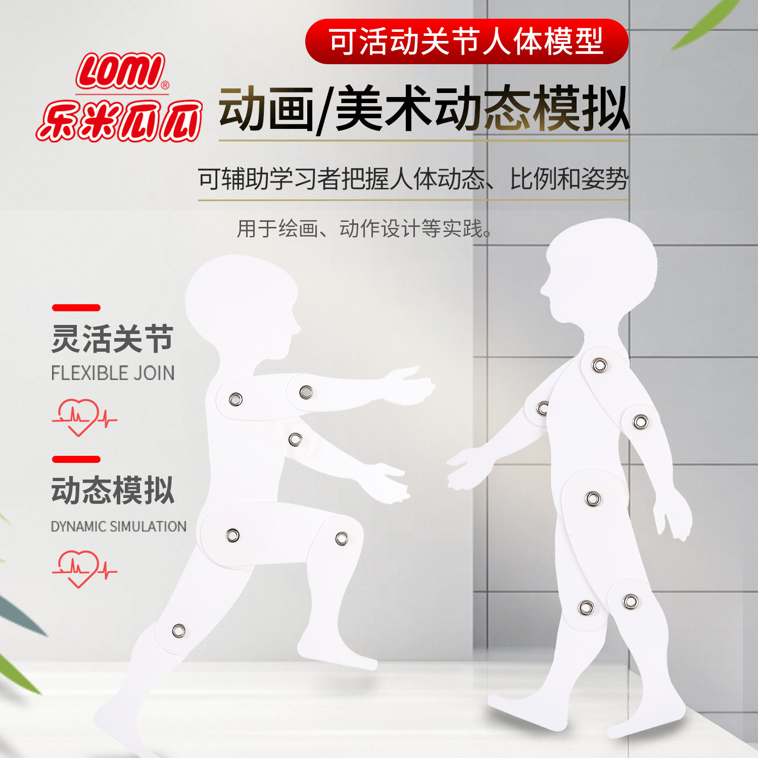 美术平面3D动态模型课堂人体学演示运动益智可活动