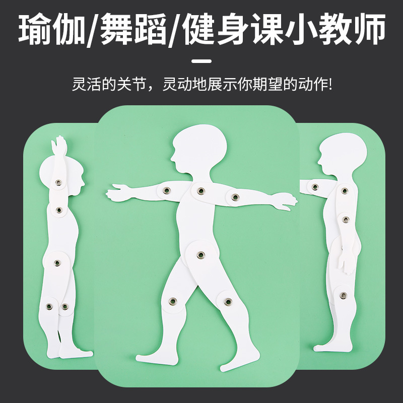 美术平面3D动态模型课堂人体学演示运动益智可活动细节图