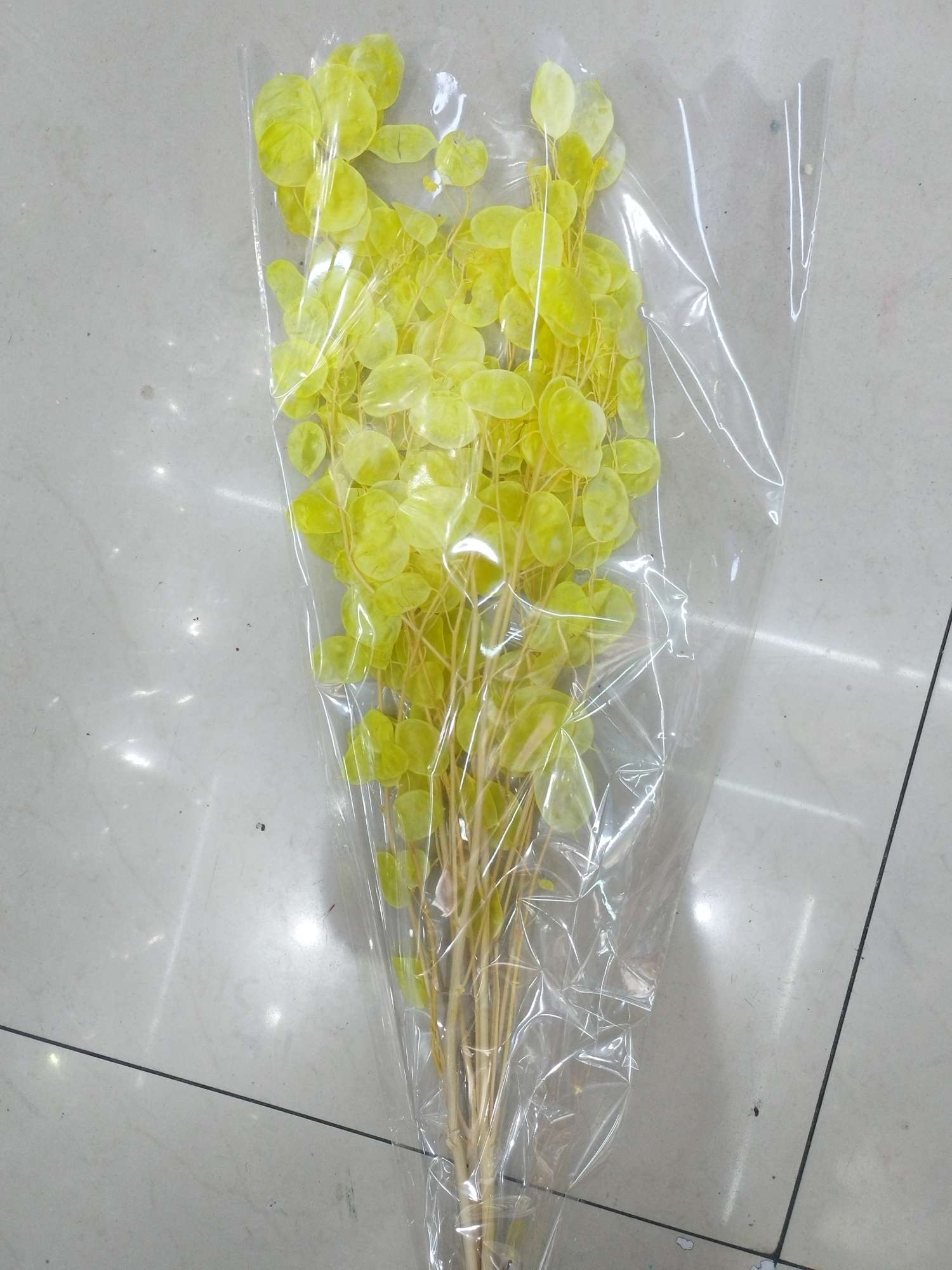 干花永生花银扇永生花细节图