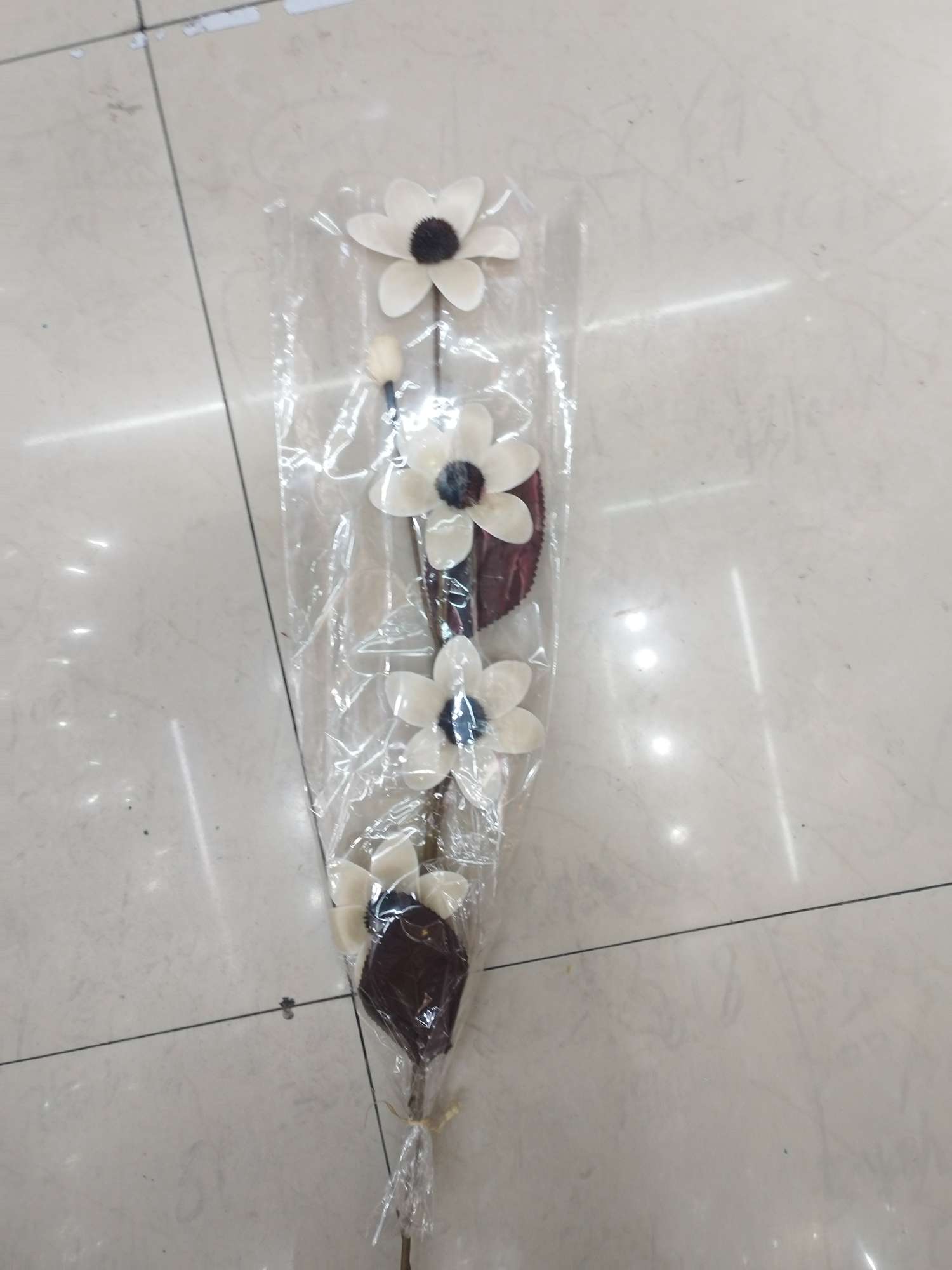 宠物园艺装饰干花压花永生花林业园林业副产品创意摆件干花压花