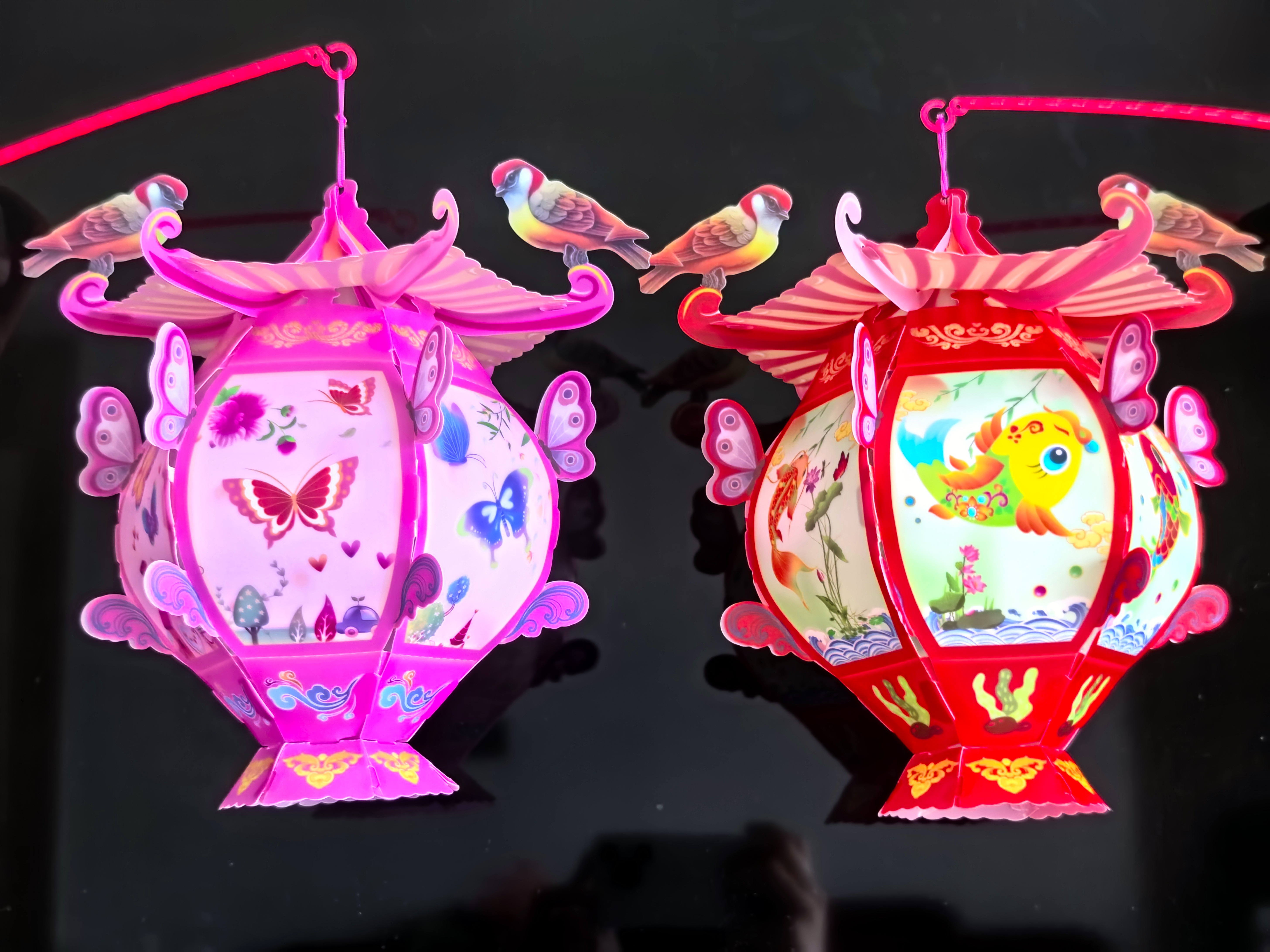 解压玩具/海洋球/玩具儿童/成人玩具/玩具细节图
