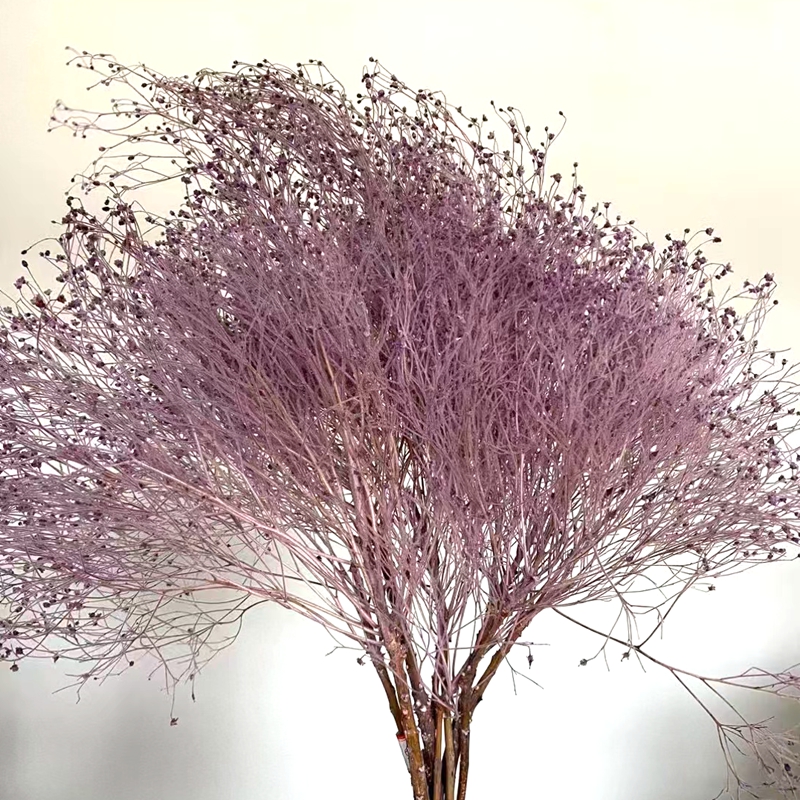 Eternal flower, dream grass, dried eternal flower, flower materials, feather grass, soft silk, dragon beard grass, bleached and colored dream grass, floating flower, matching grass Specification image