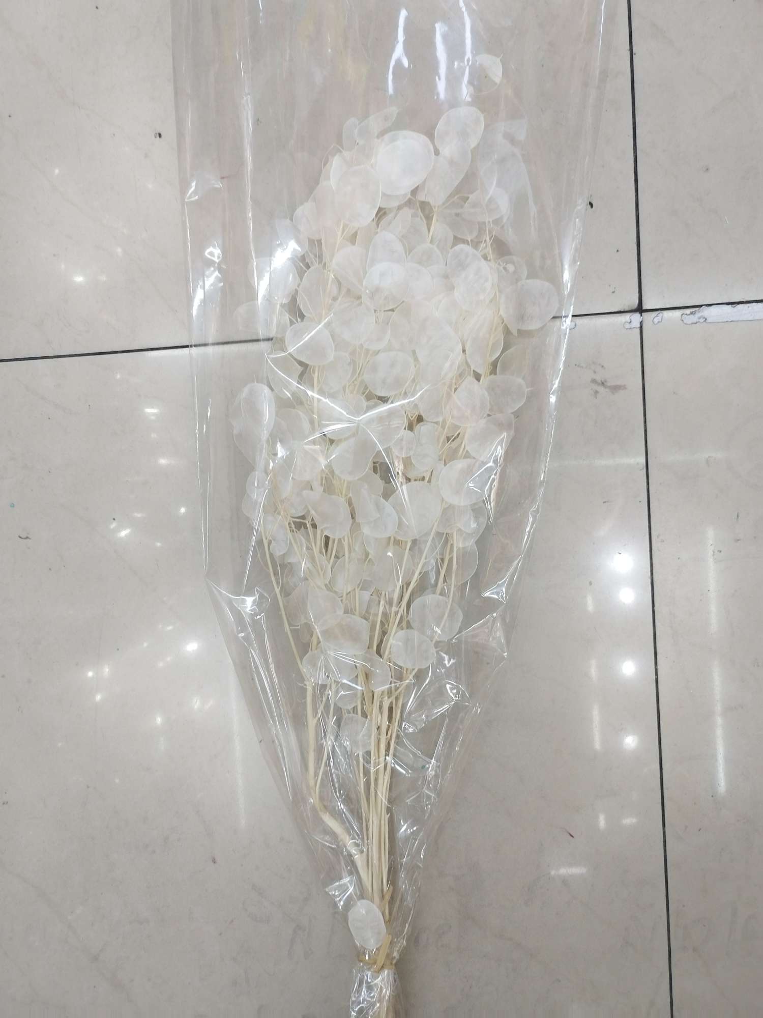 干花永生花银扇永生花