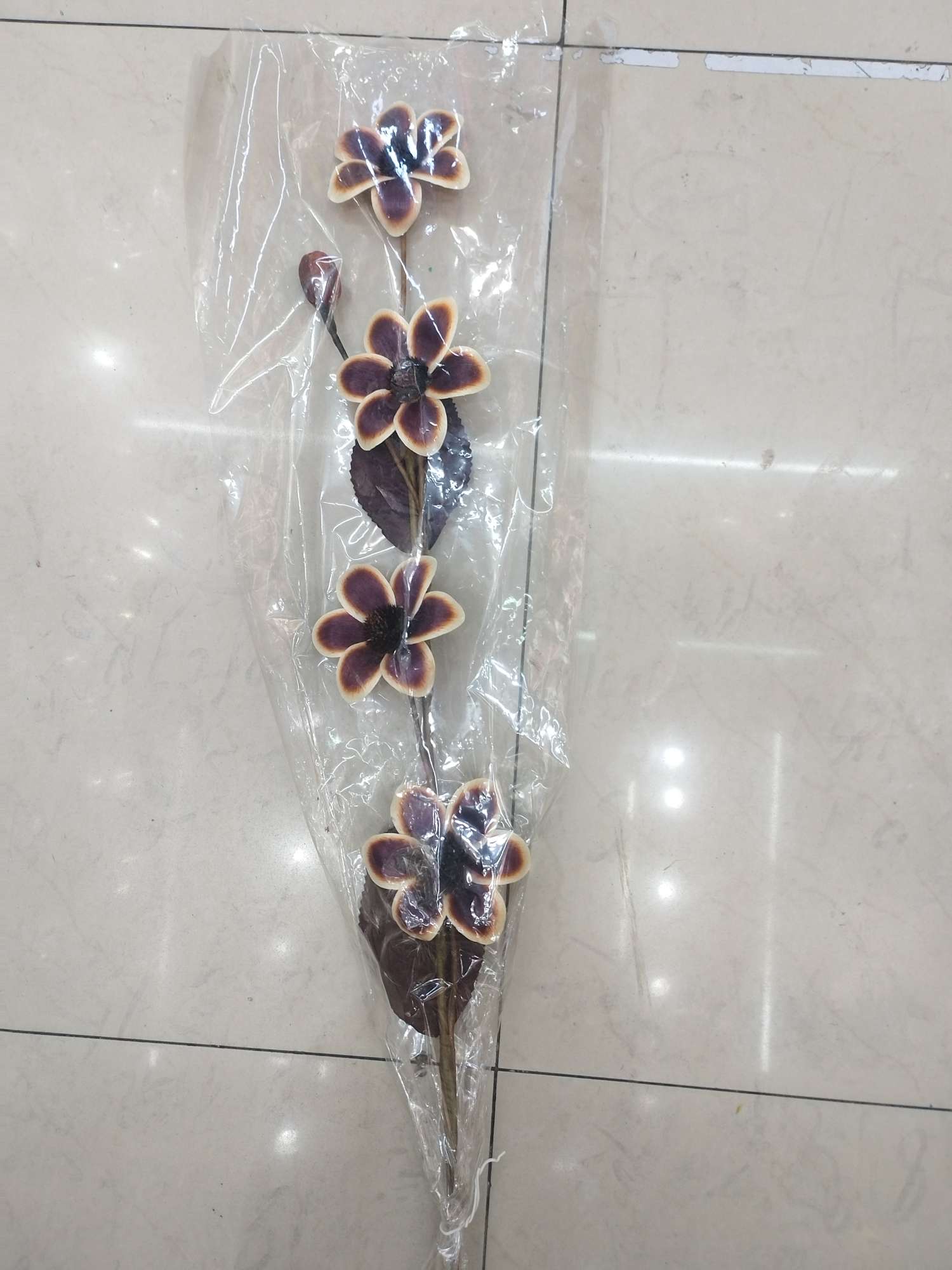宠物园艺装饰干花压花永生花林业园林业副产品创意摆件干花压花详情图2
