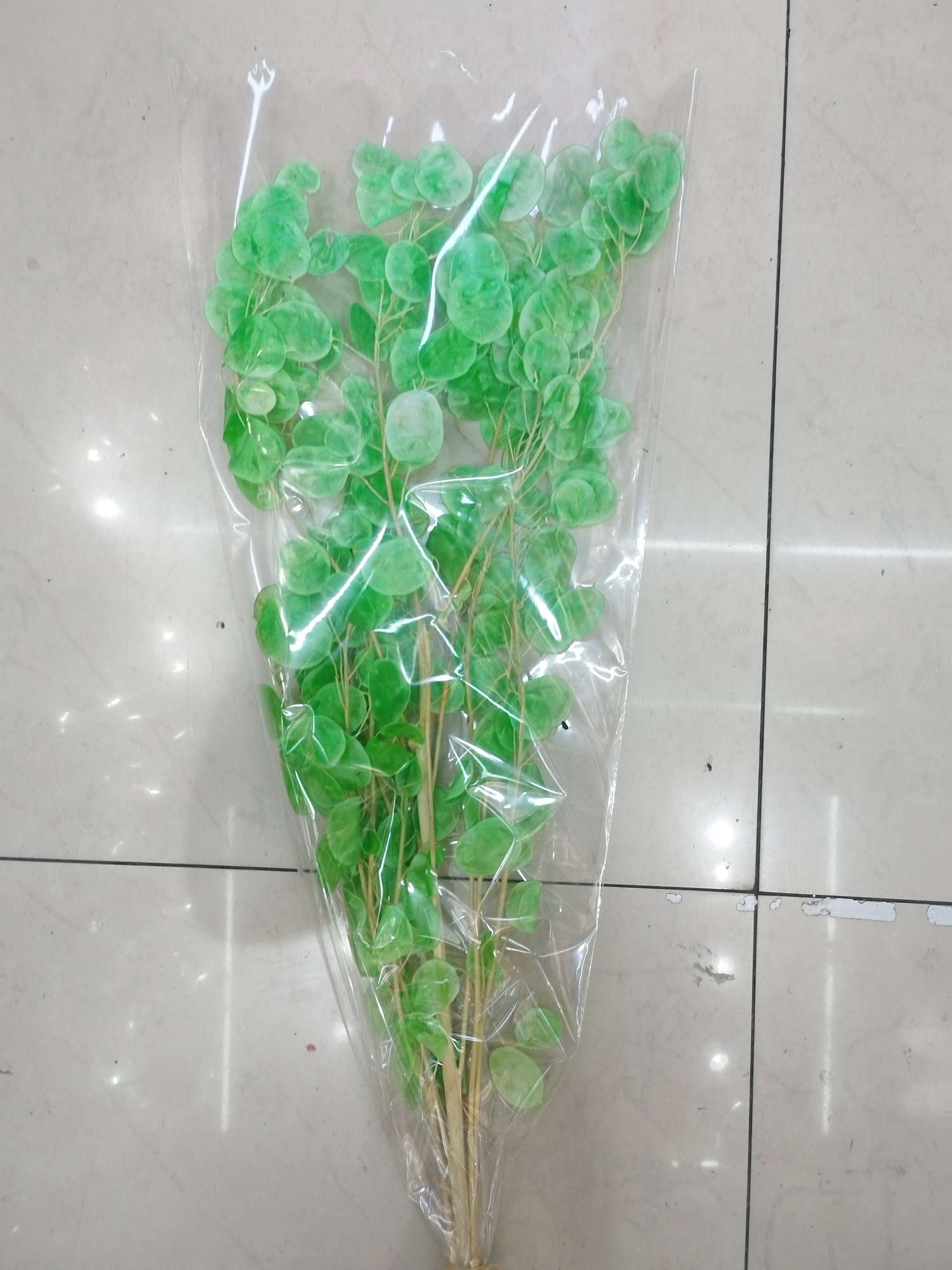 干花实物图