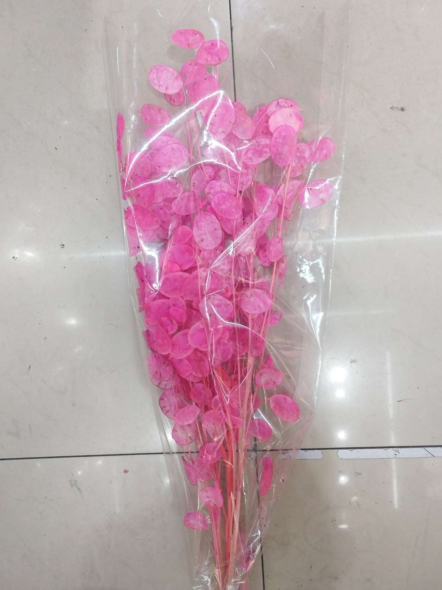 干花永生花银扇永生花产品图