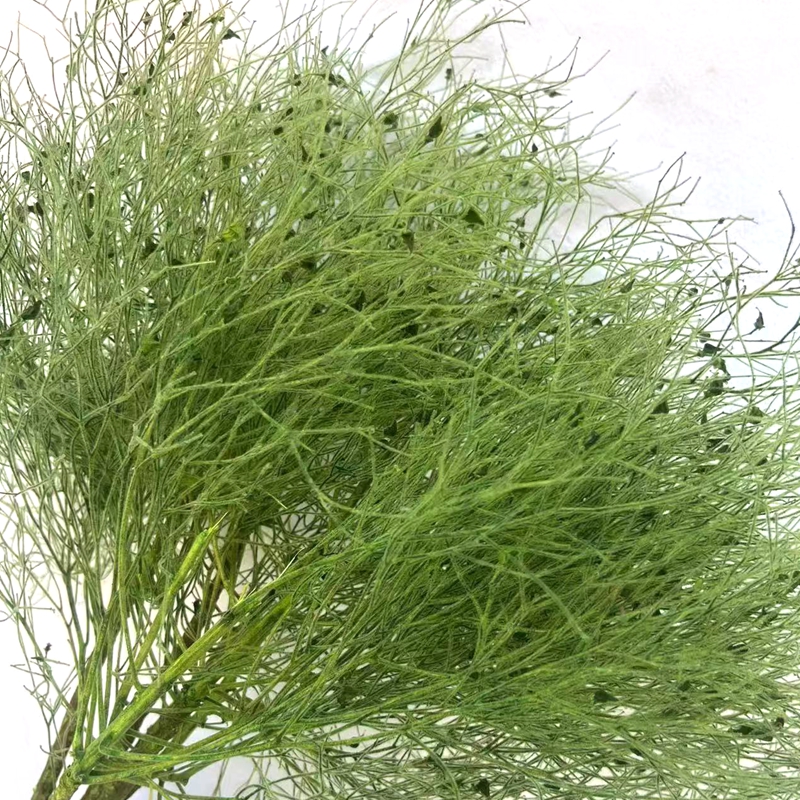 Eternal flower, dream grass, dried eternal flower, flower materials, feather grass, soft silk, dragon beard grass, bleached and colored dream grass, floating flower, matching grass details Picture