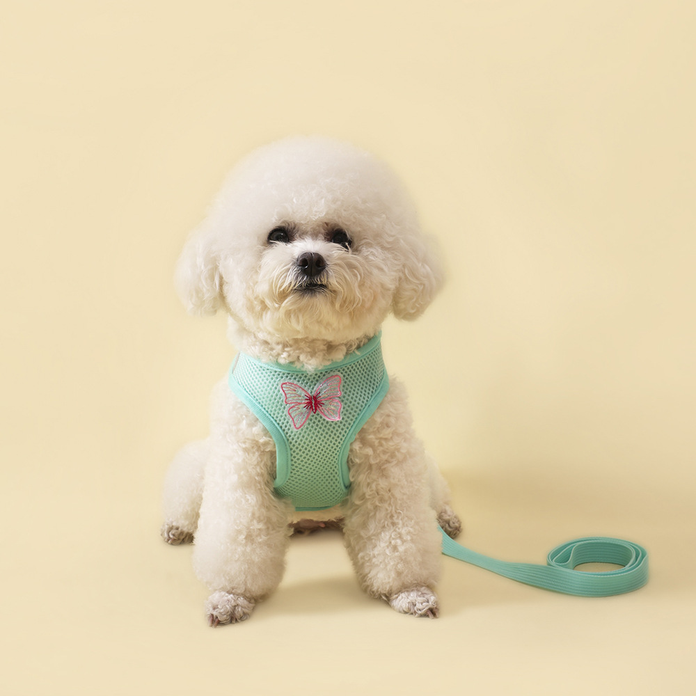 Explosion-proof breathable vest type pet dog chest and back strap, small dog outdoor leash, cat and dog pet supplies Application Scenario