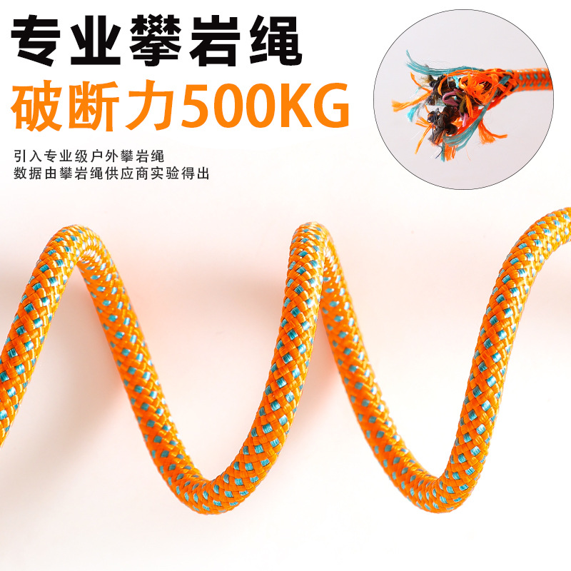 p leash, dog leash, dog walking chain, small, medium and large dog training, anti-explosion, punching and knotting, Golden Retriever pet supplies details Picture