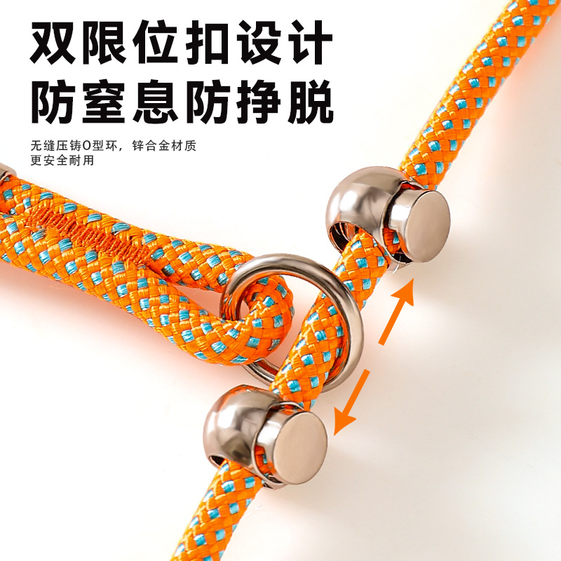p leash, dog leash, dog walking chain, small, medium and large dog training, anti-explosion, punching and knotting, Golden Retriever pet supplies Specification image