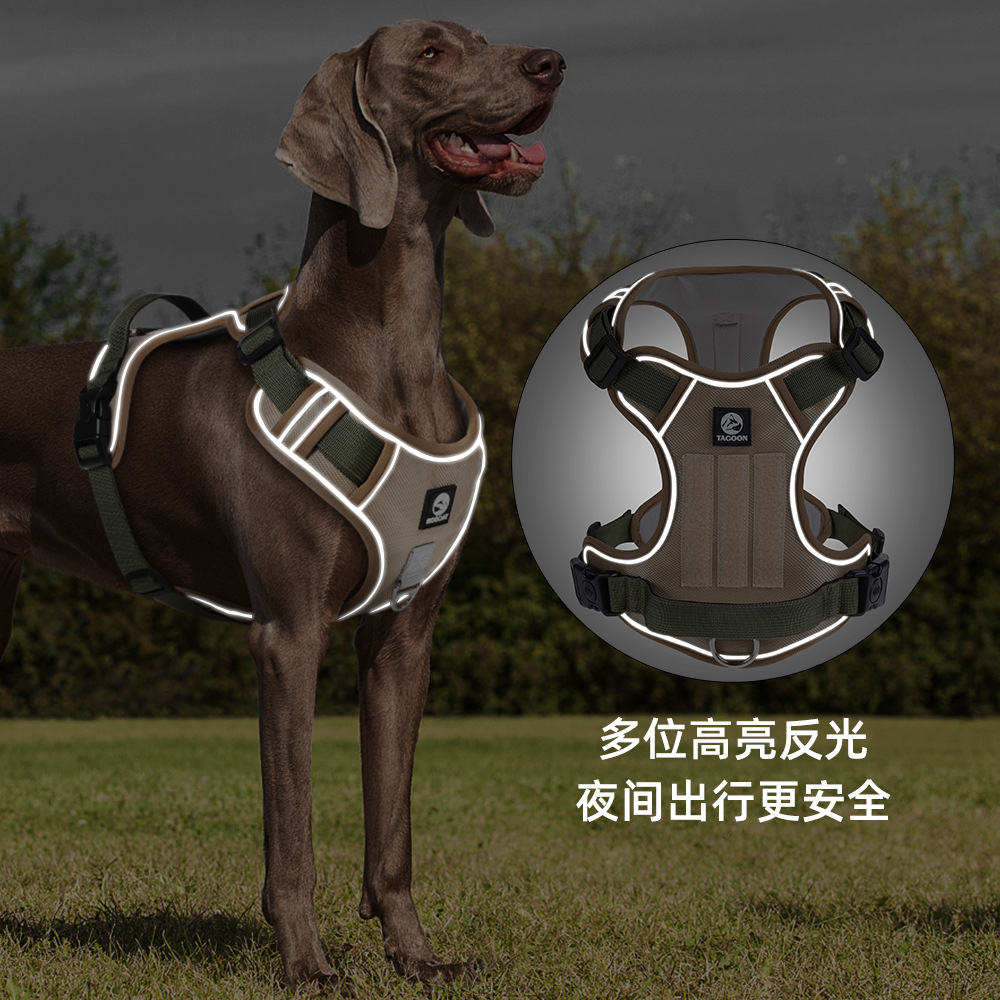 狗狗牵引实物图