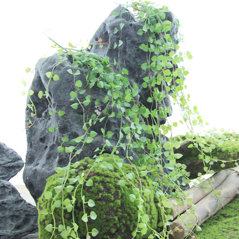 森系小叶爬山虎藤条手感做旧仿真绿叶壁挂装饰植物角缠绕遮挡吊饰