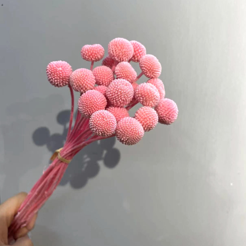 菀薇永生保鲜玫瑰花配草黄金球 干花礼品盒必备 浮游瓶 工艺品 婚庆软装配草白底实物图