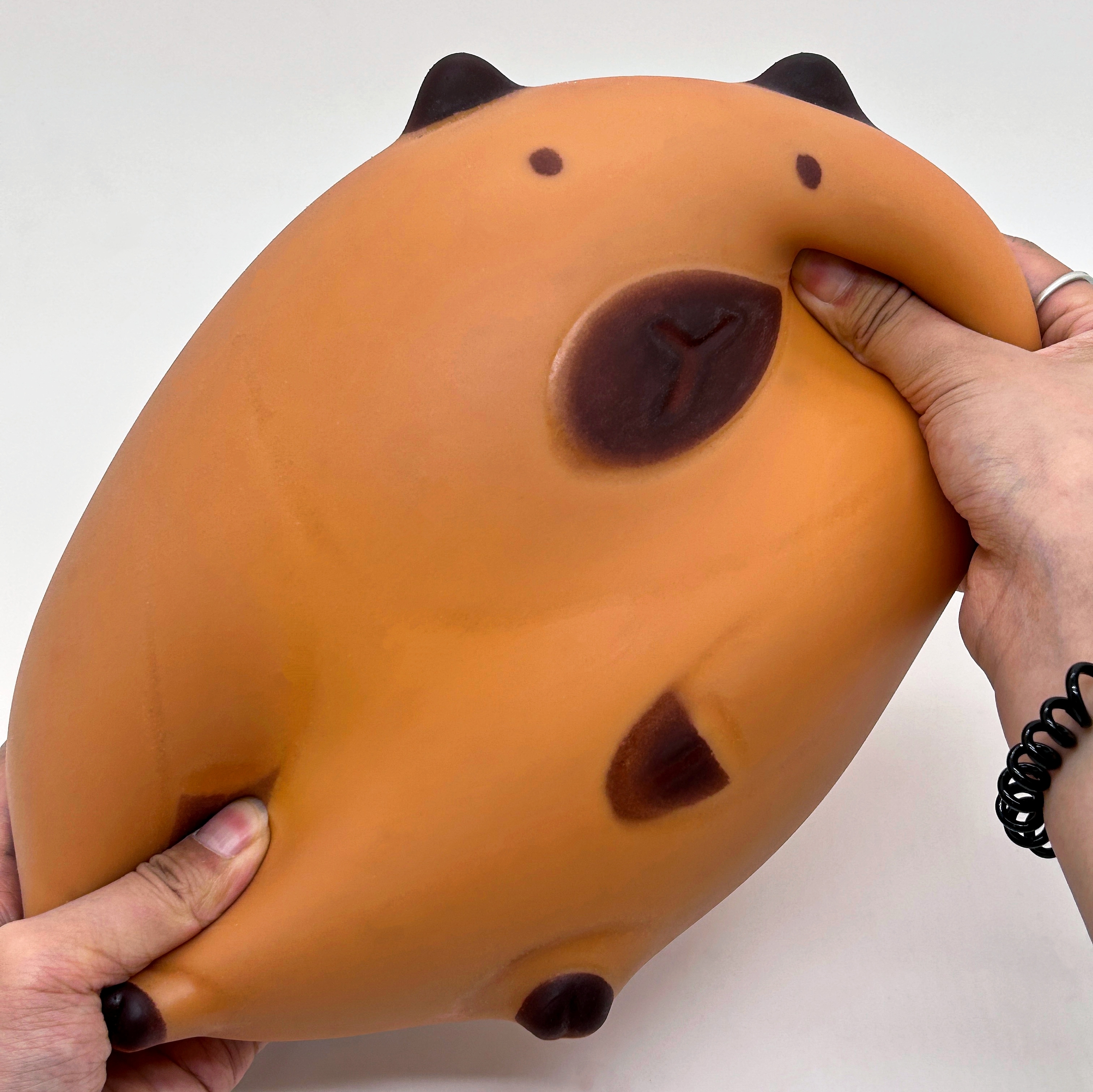 The popular internet-famous toy 