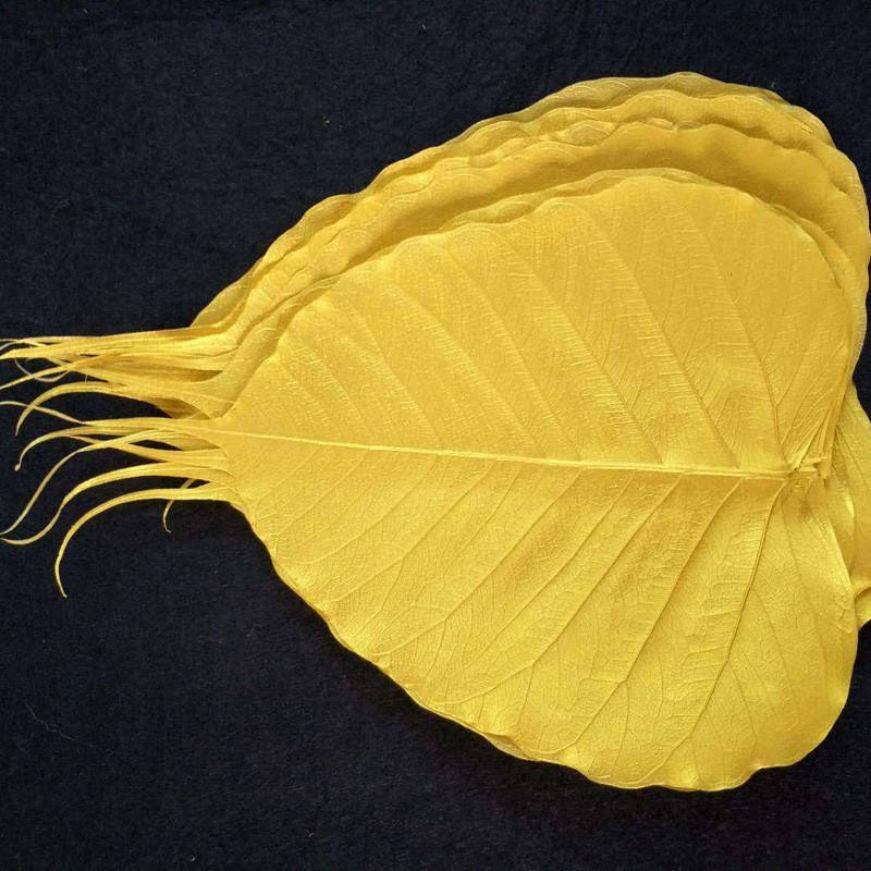 Dried flower handicrafts with grass, diamond leaves, Bodhi leaves, floating bottles, special preserved flowers, pressed flowers and grass Application Scenario