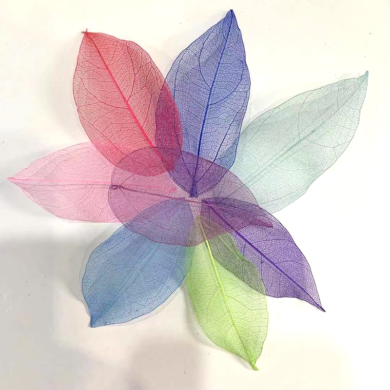 Dried flower handicrafts with grass, diamond leaves, Bodhi leaves, floating bottles, special preserved flowers, pressed flowers and grass Specification image