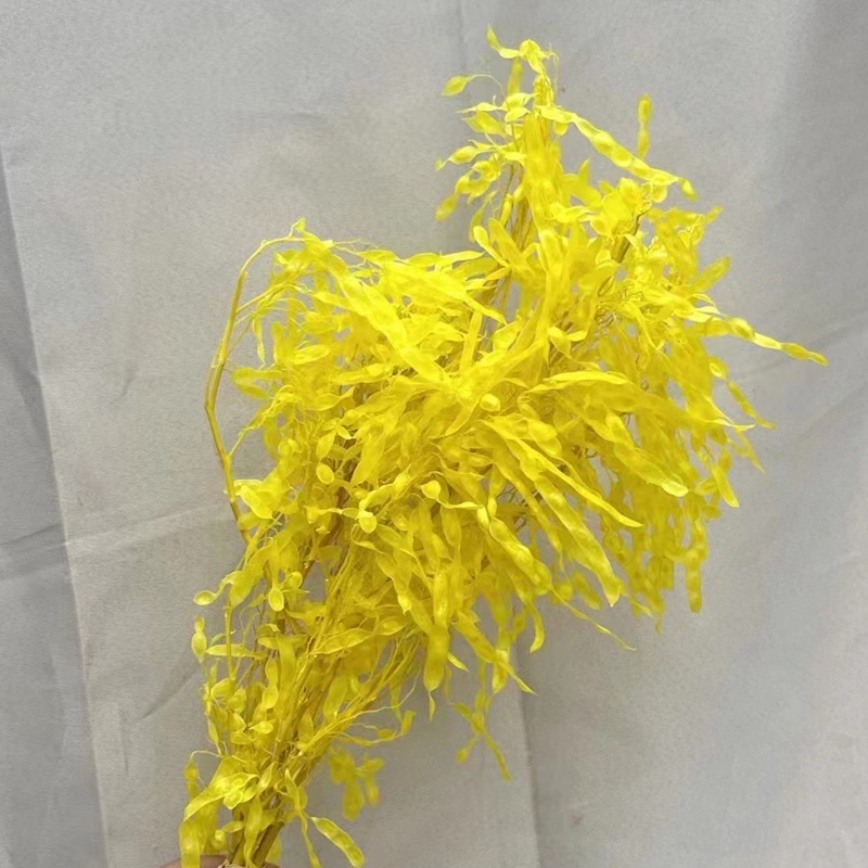 干花压花/压花干花/发光干花束产品图