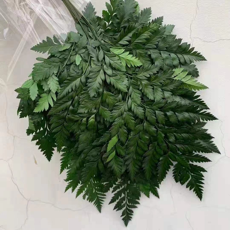 Preserved flowers, everlasting flowers, tall goat tooth fern plant handicrafts, grass floating bottles, soft furnishings, wedding supplies Item Picture